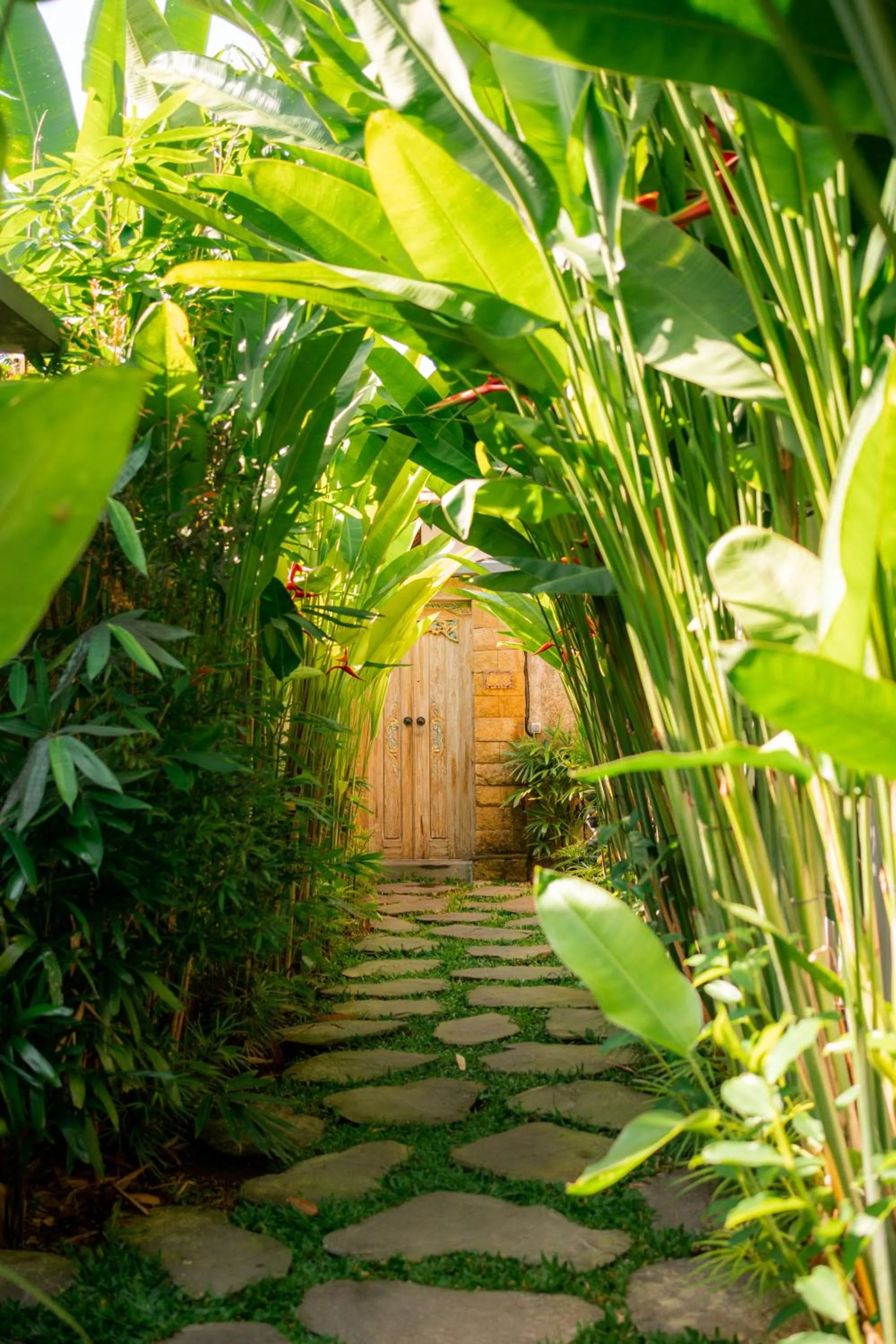 Garden in Kaki Uma Villa