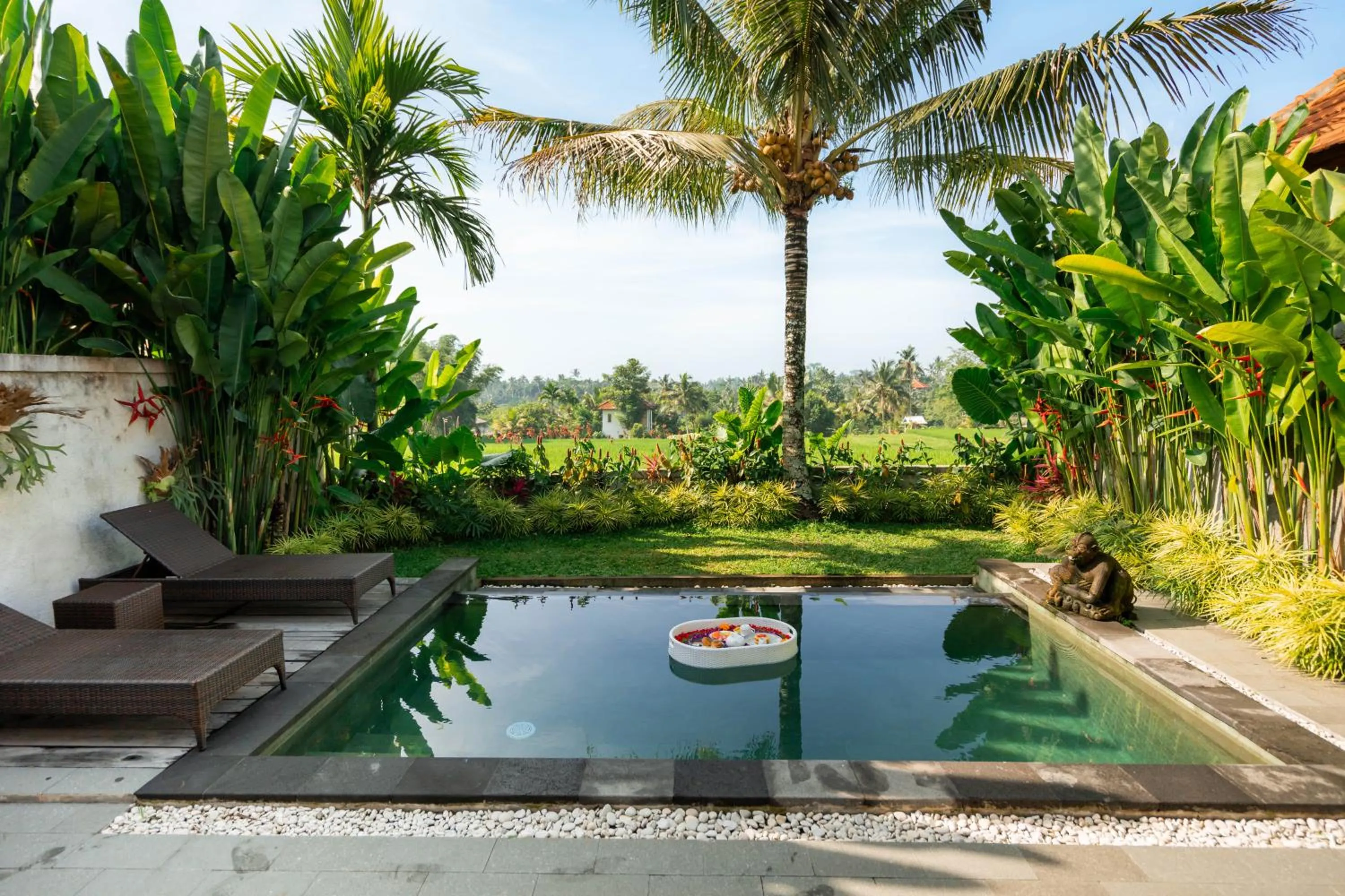Swimming pool in Kaki Uma Villa