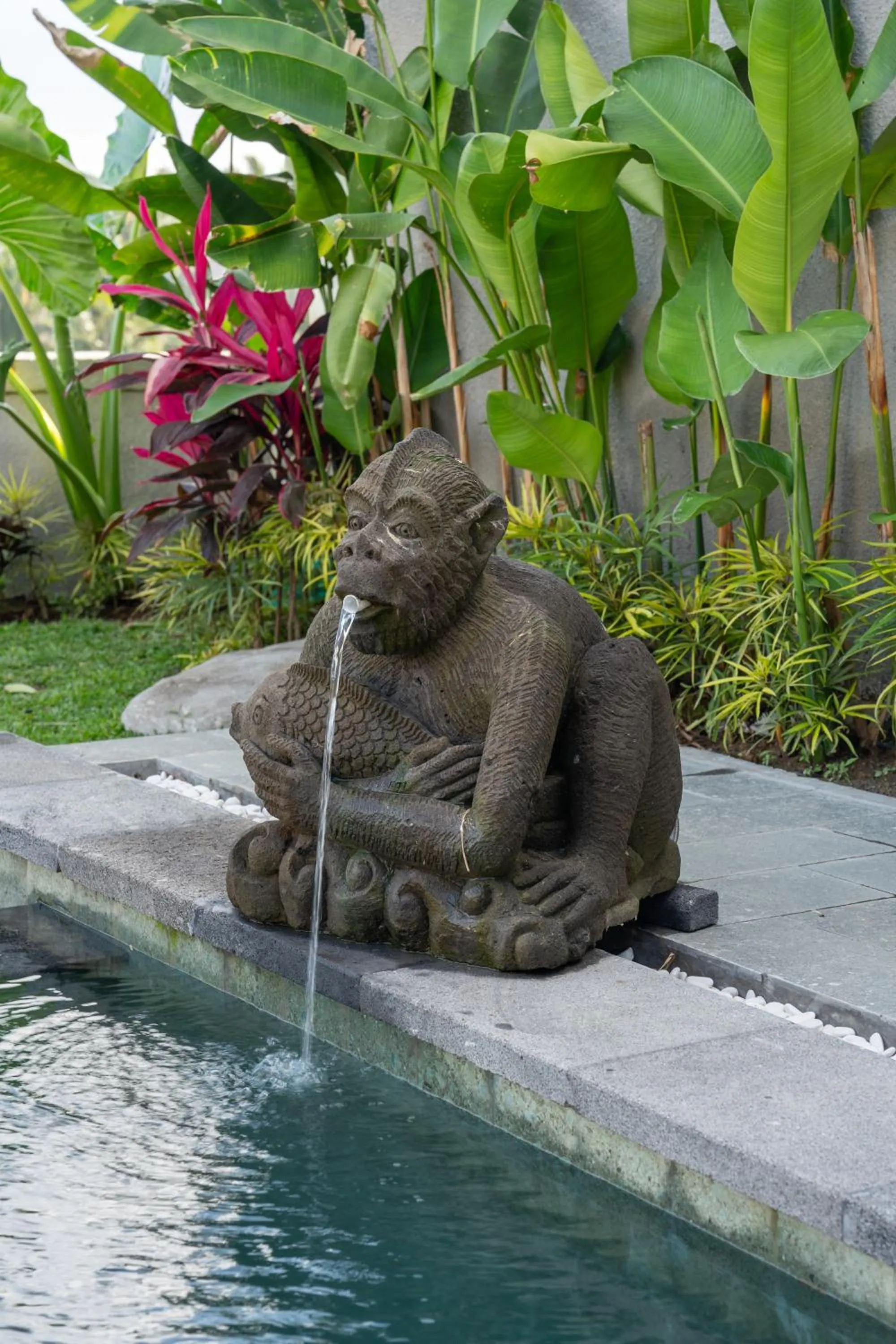 Pool view in Kaki Uma Villa