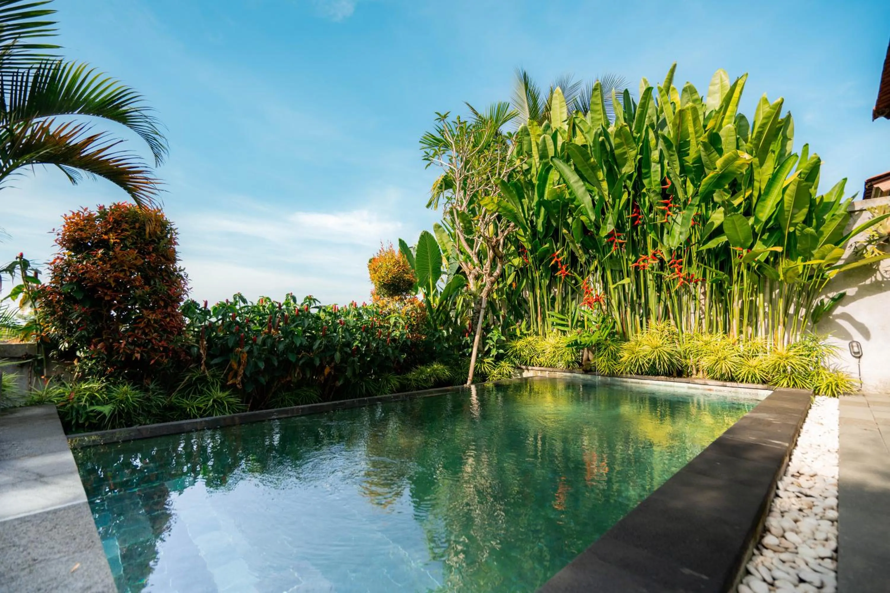 Natural landscape in Kaki Uma Villa