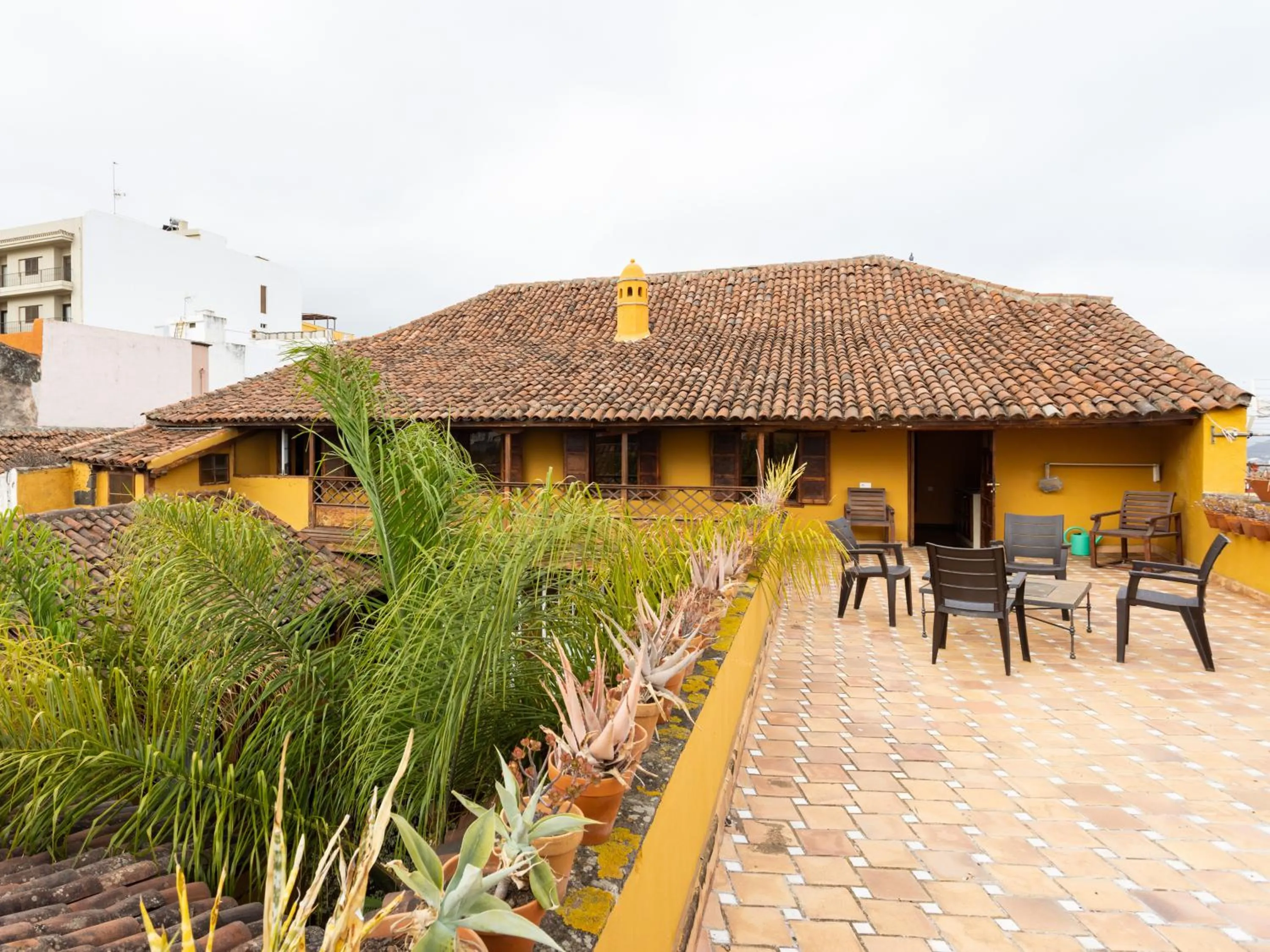 Live La Orotava Attic National Heritage