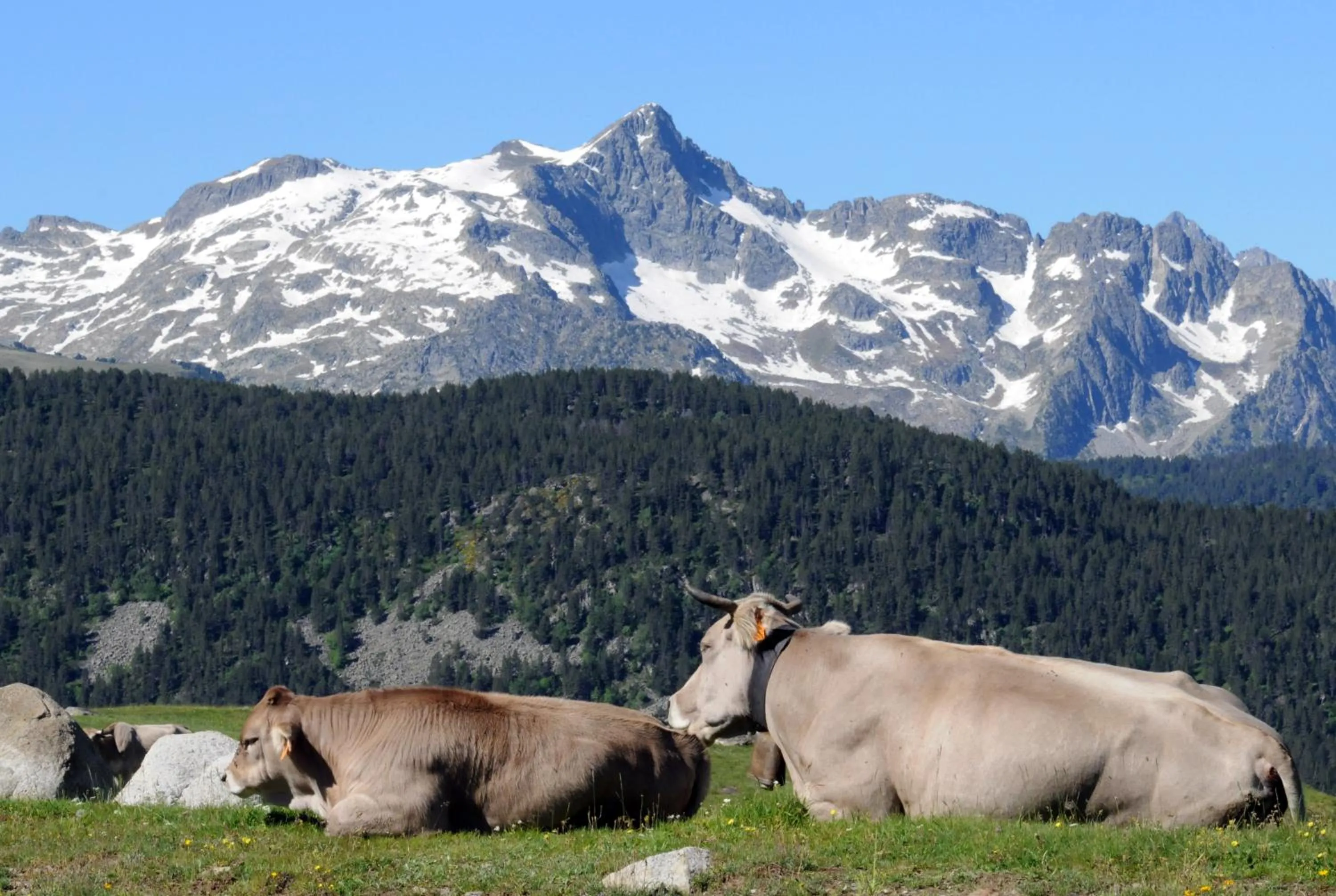 Natural landscape in El Refugio de Aran Vielha Aparthotel