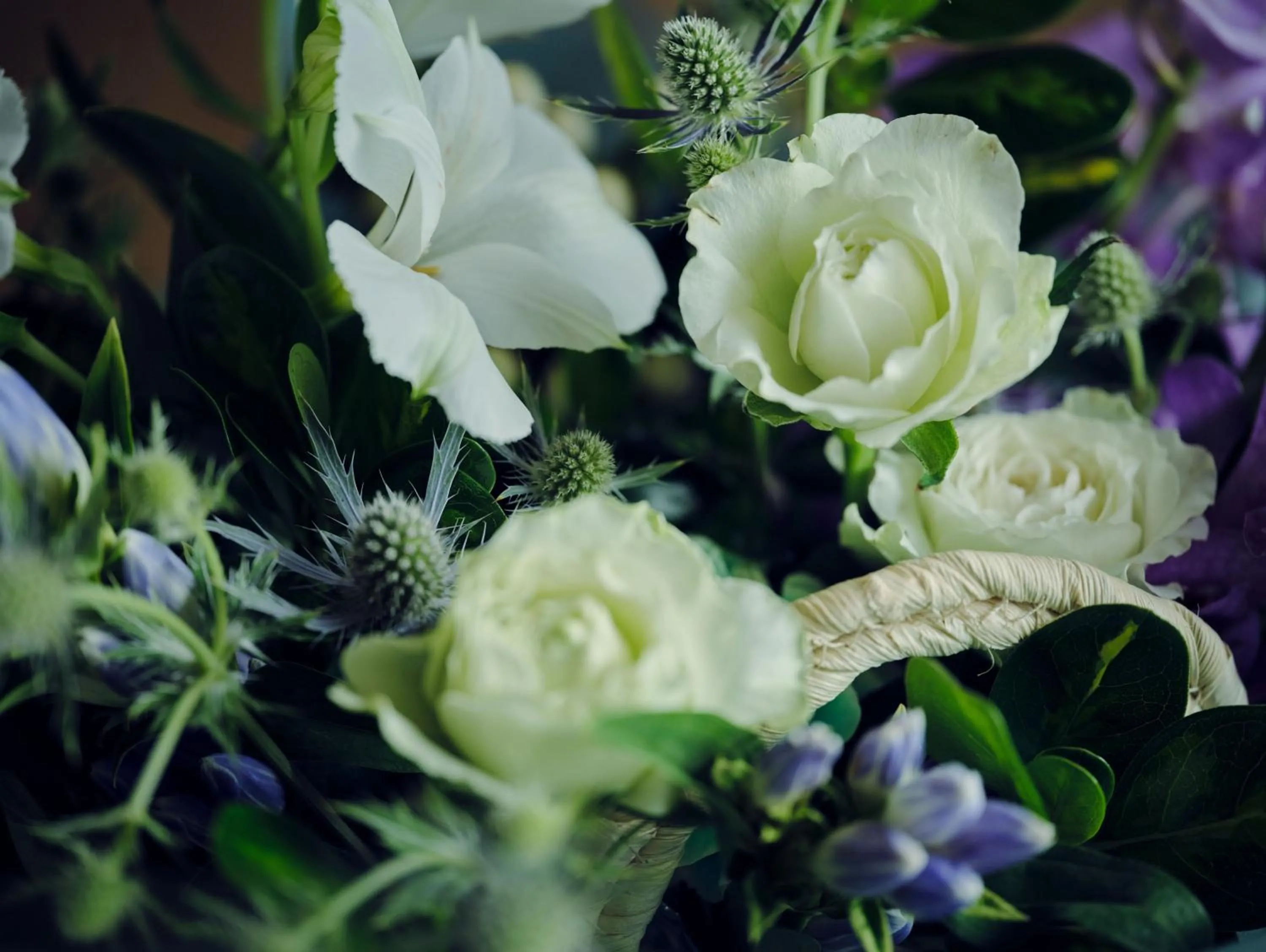 Other in YAWN YARD Kouri Island