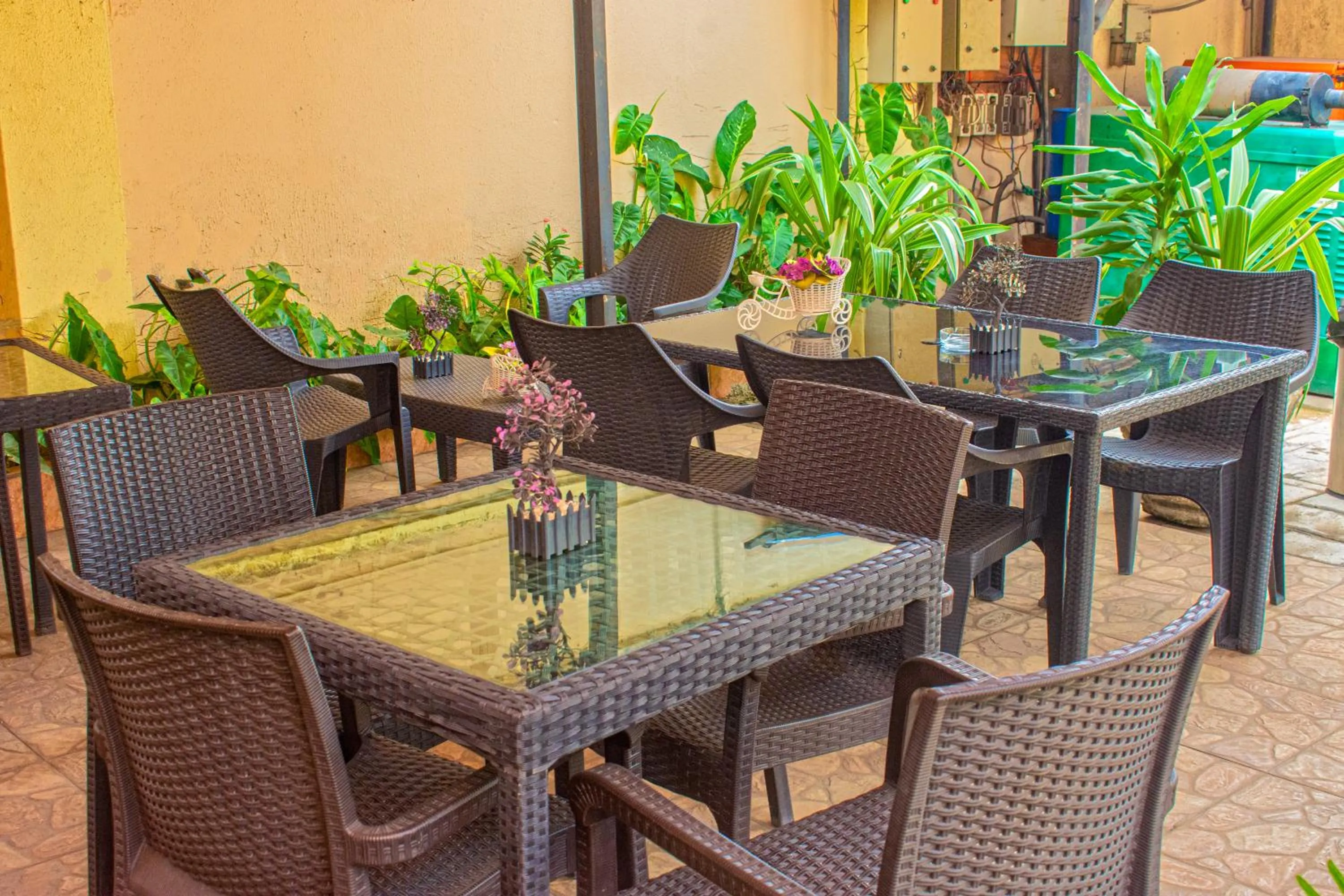 Restaurant/places to eat in EED Pension Boutique Hotel