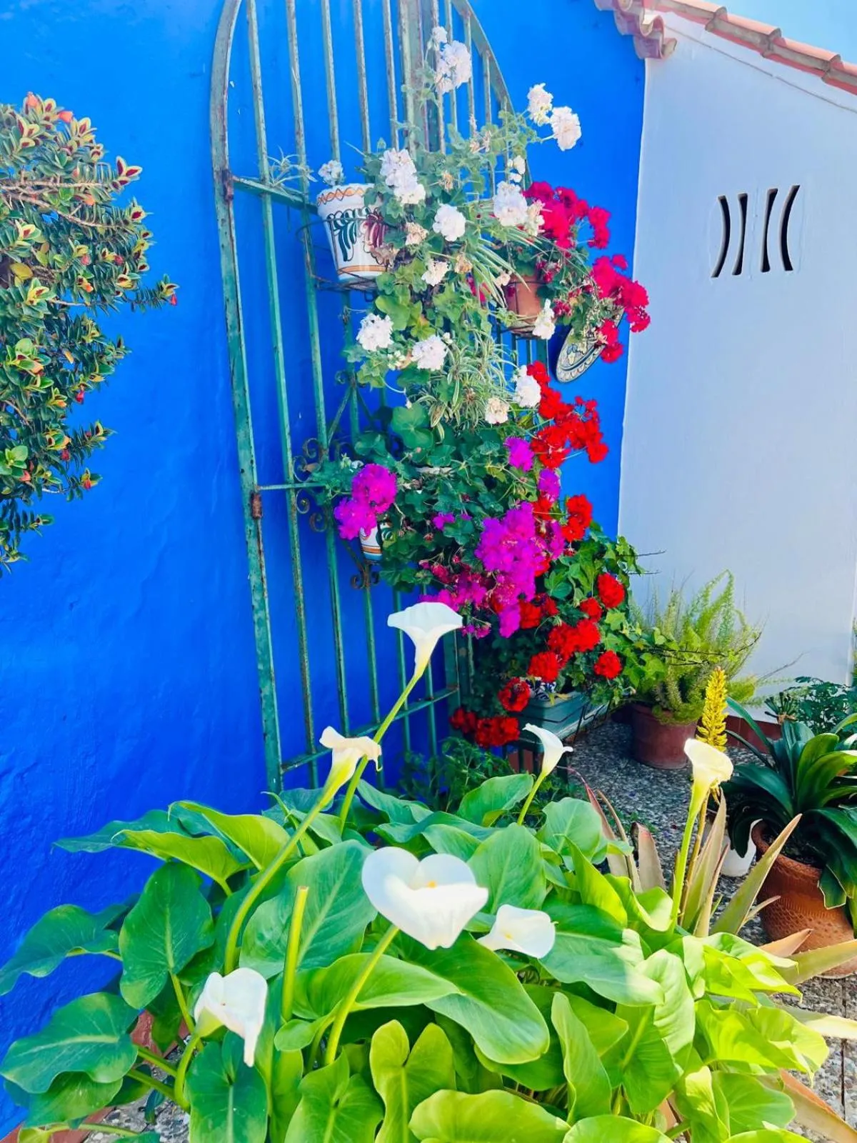 Patio in Hostal El Faro