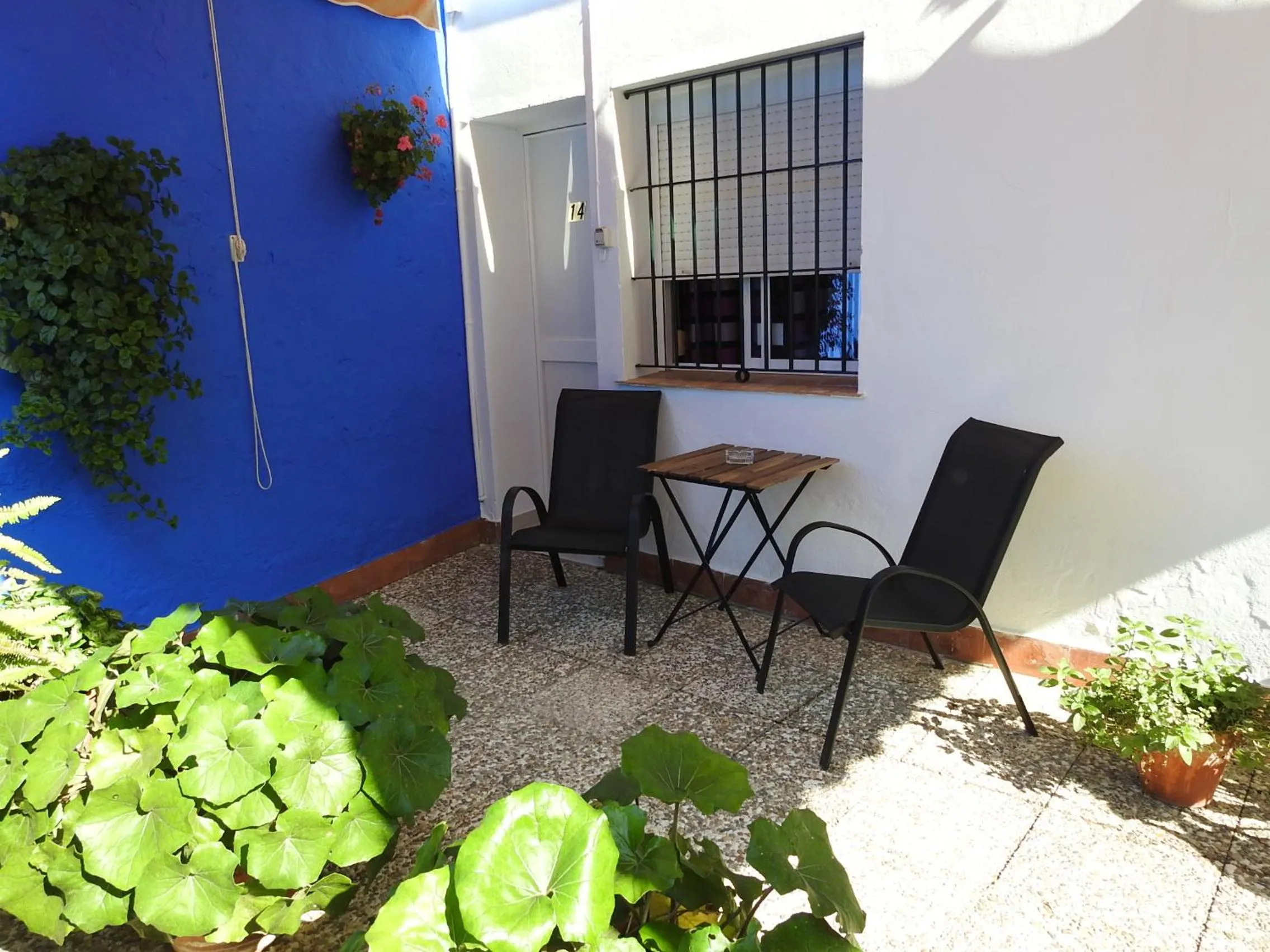 Garden in Hostal El Faro