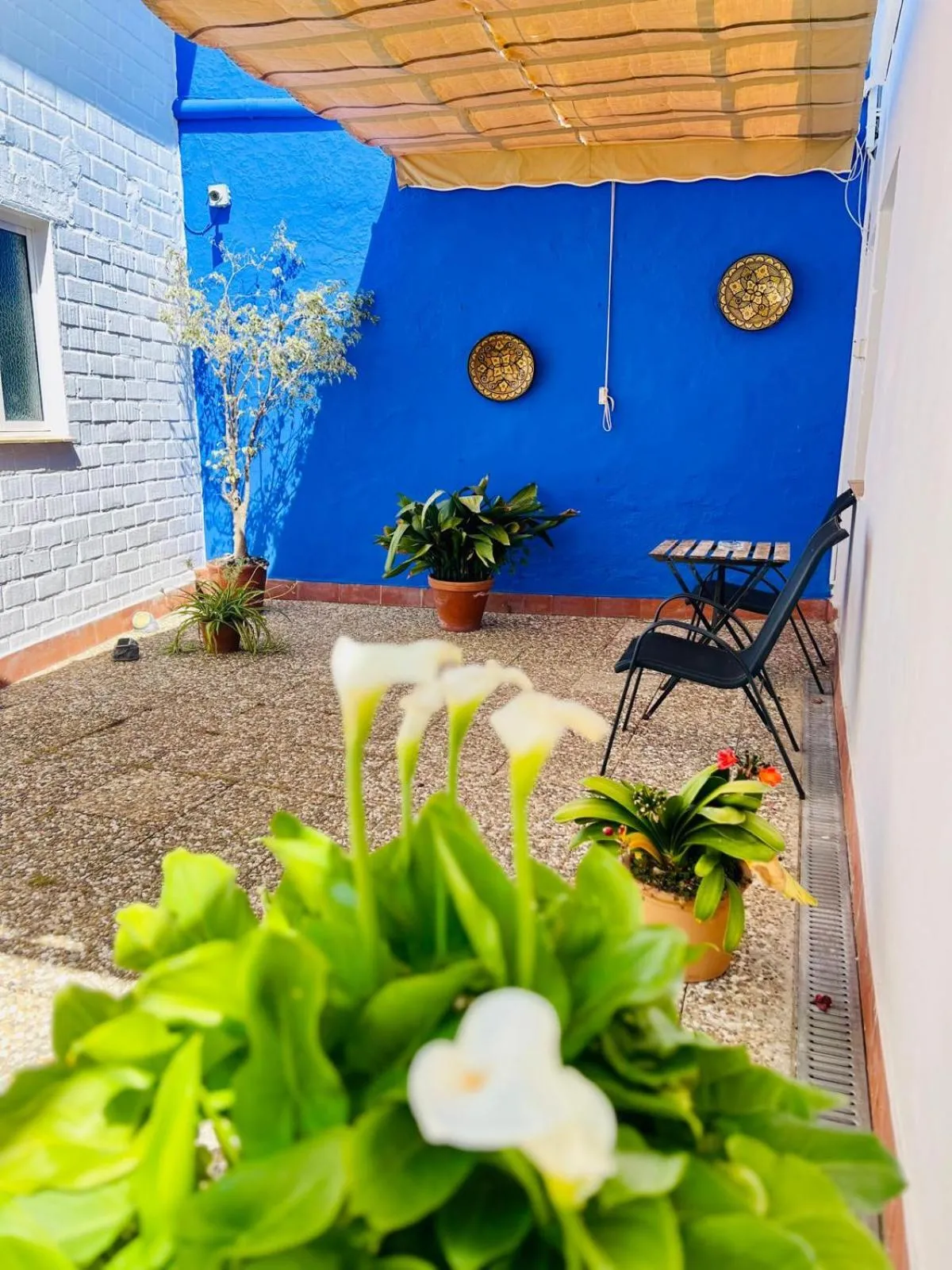 Garden in Hostal El Faro