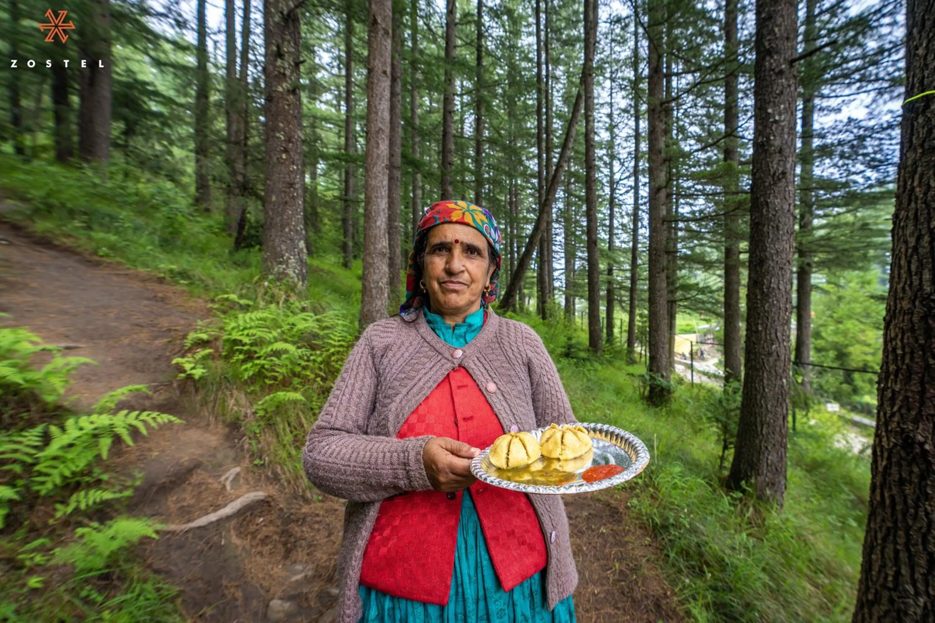 Zostel Kotgarh, Narkanda