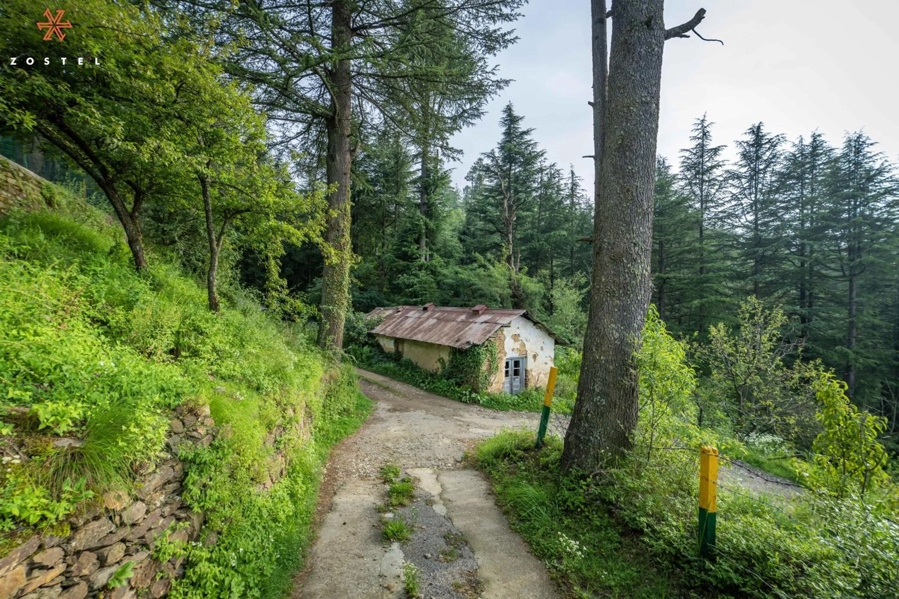 Zostel Kotgarh, Narkanda