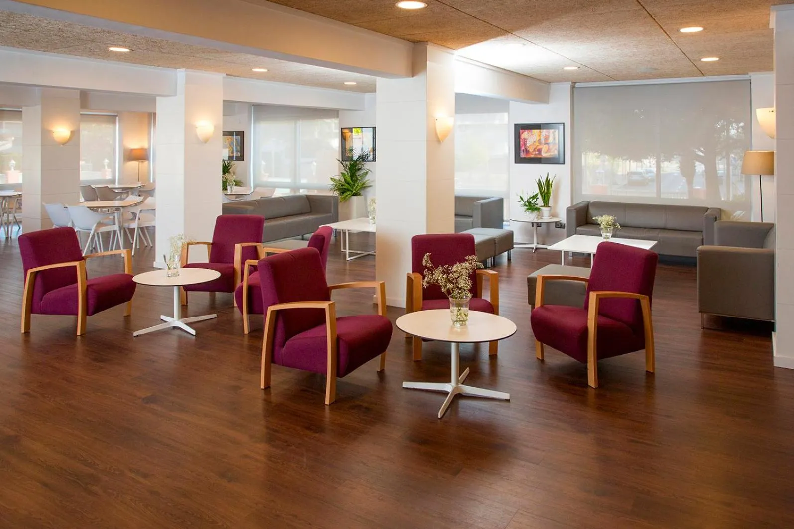 Area and facilities in Gandia Playa