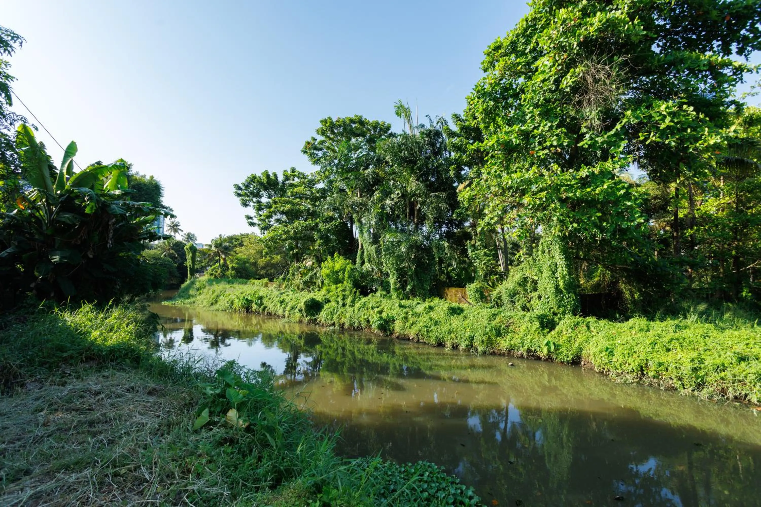 River view in The Lotaz Hotel