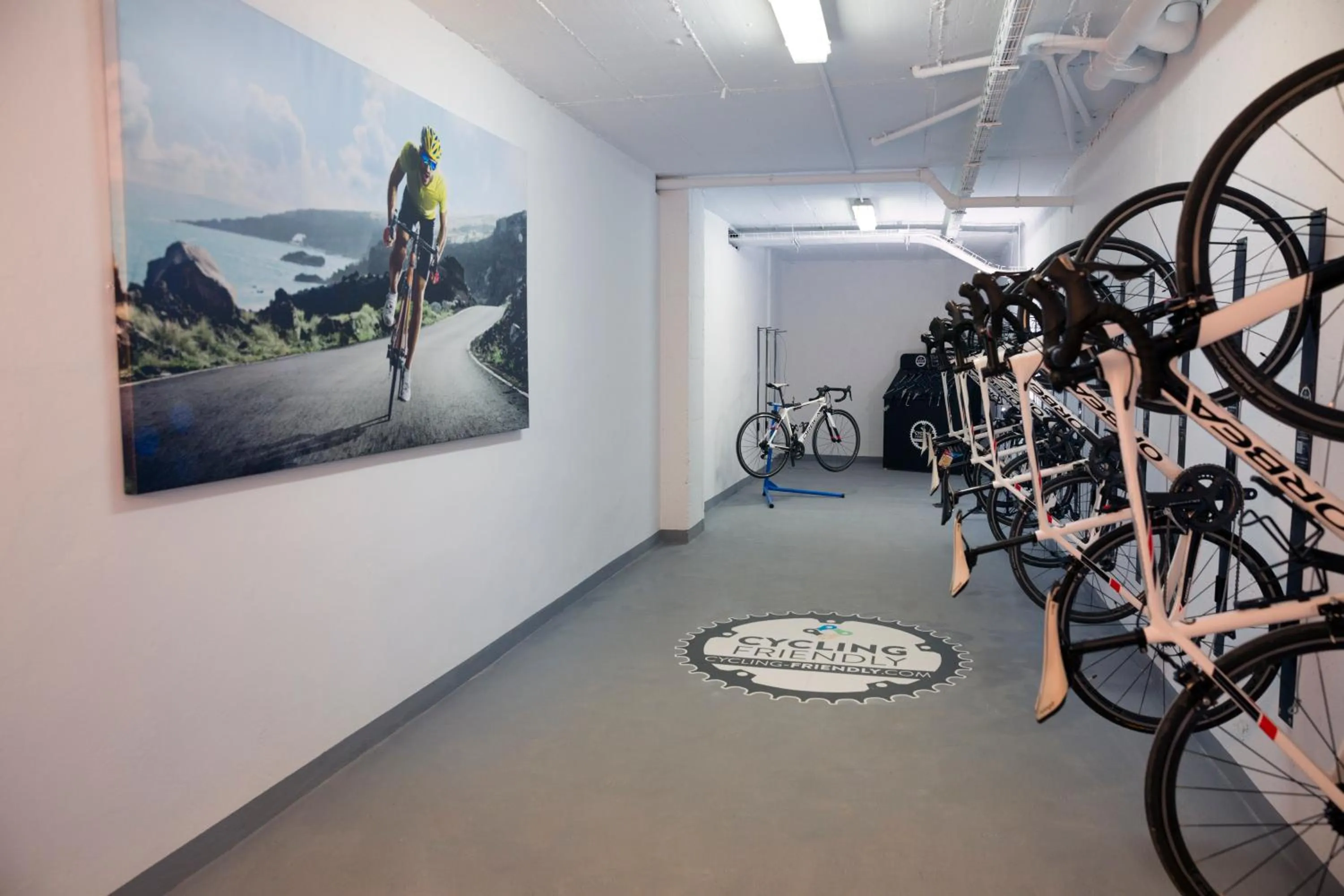 Cycling in Hotel Puente Real