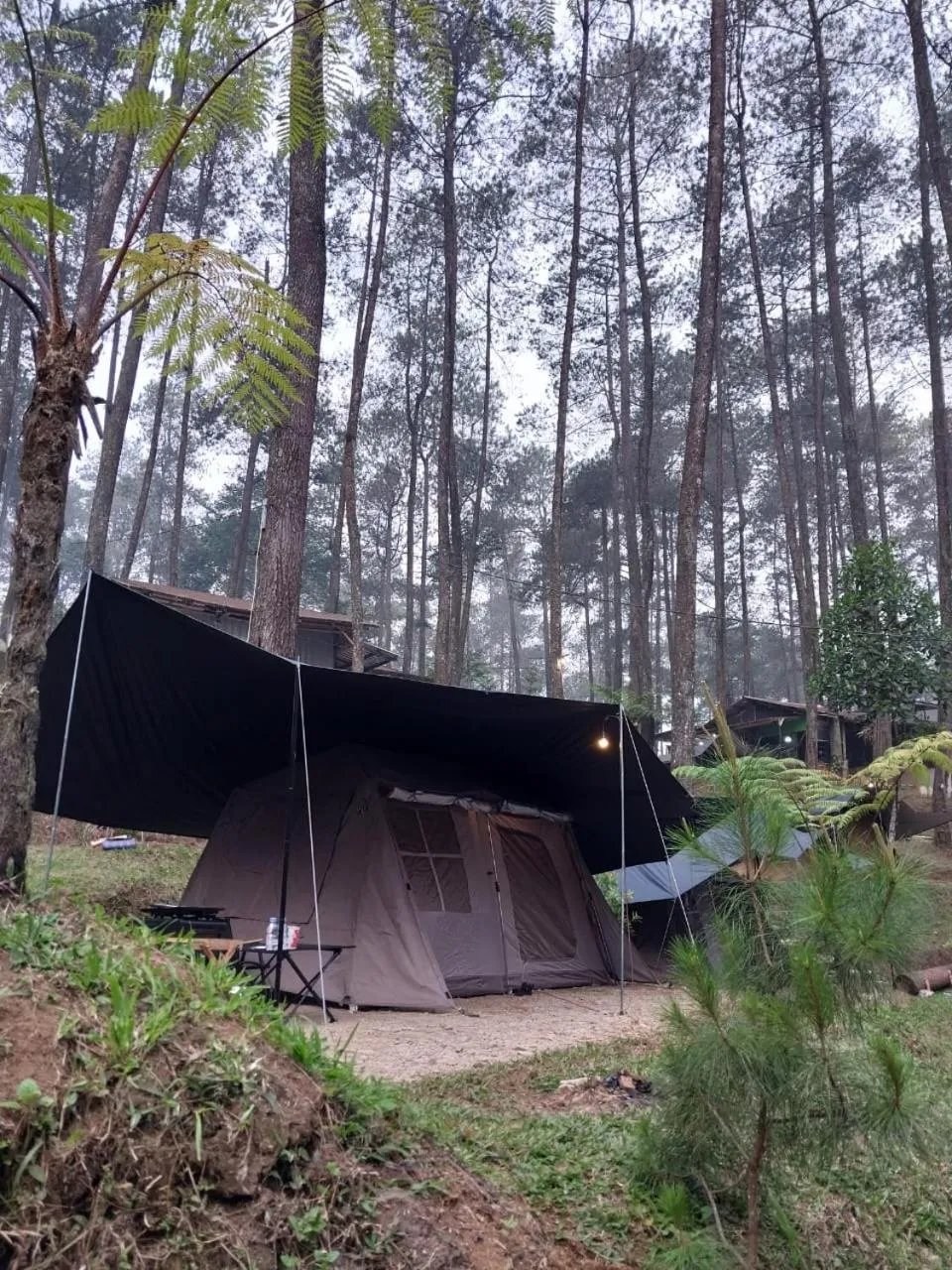 Property building in corak alam glamping