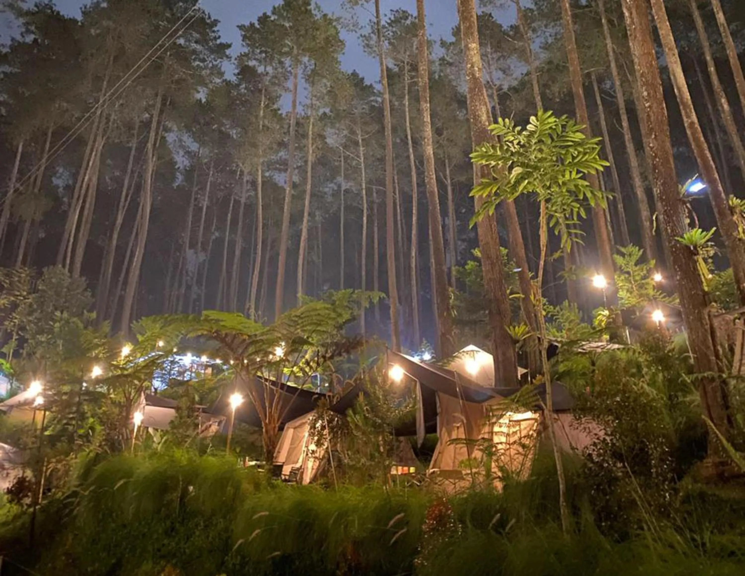 Natural landscape in corak alam glamping