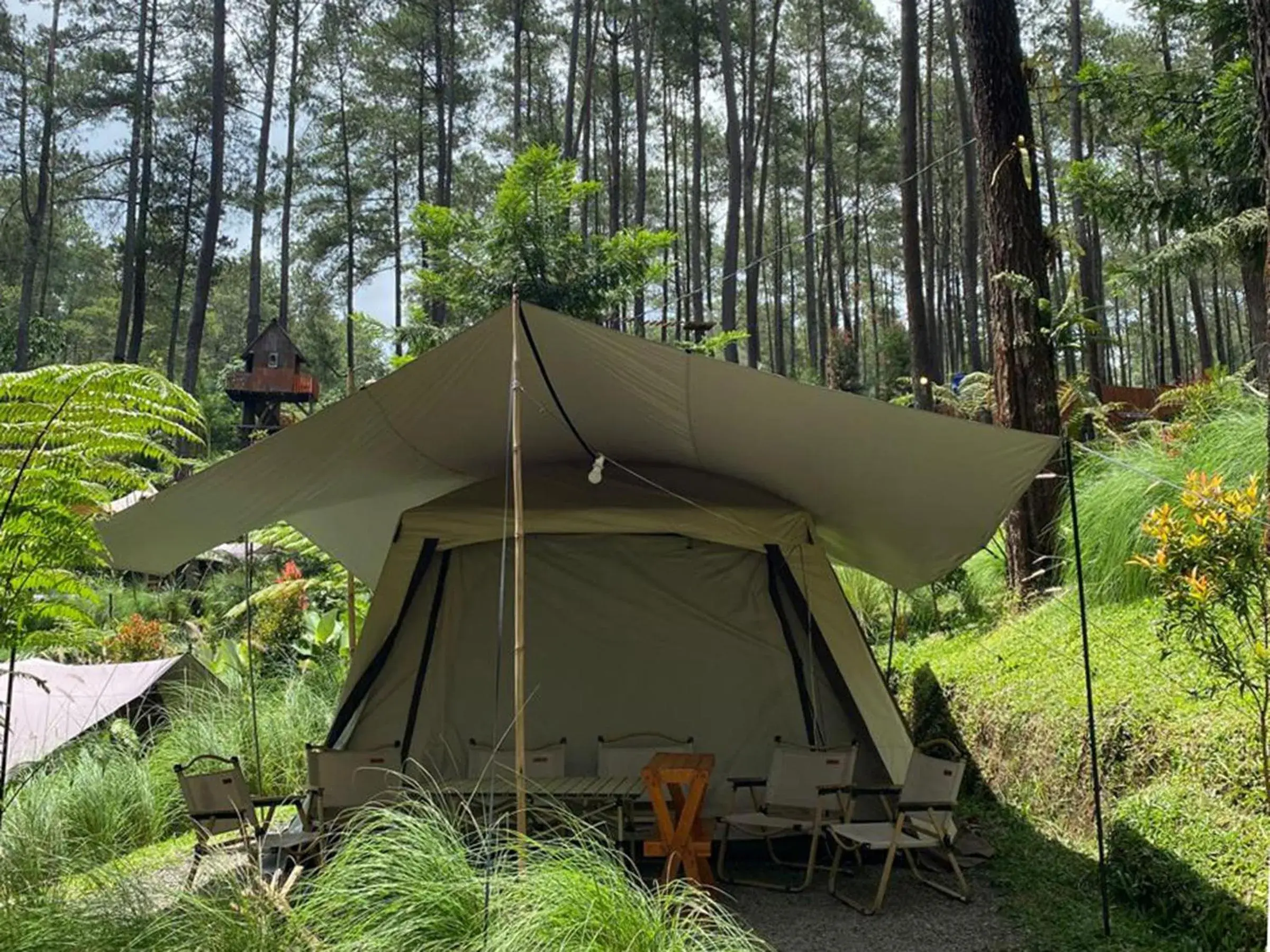 View (from property/room) in corak alam glamping View (from property/room) in corak alam glamping