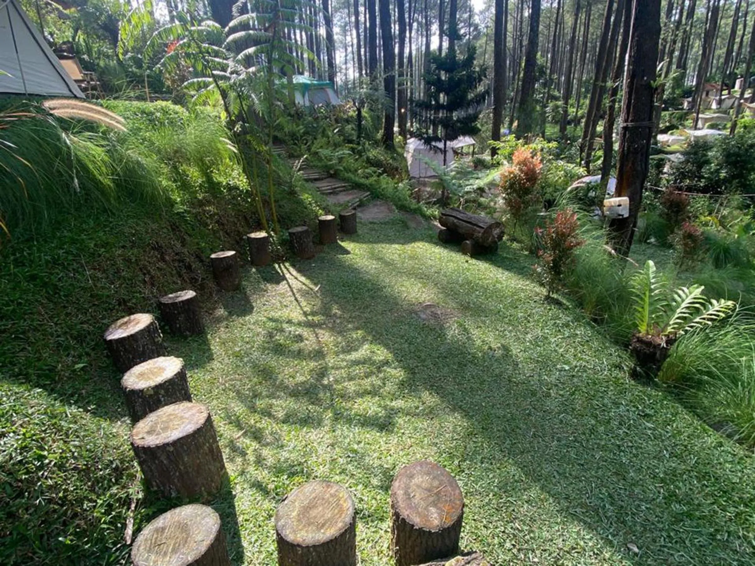 Garden view in corak alam glamping