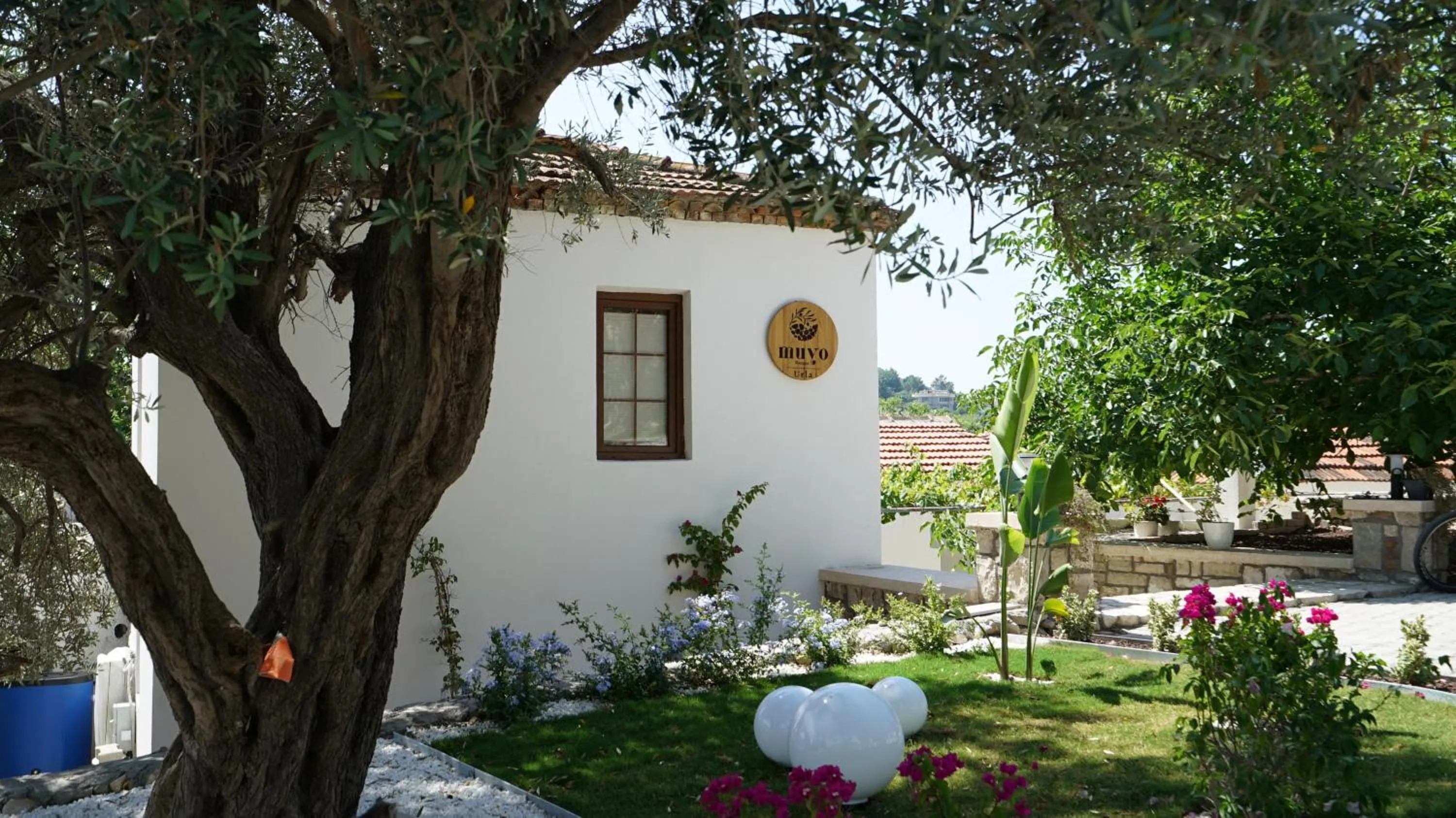 Property building in Muyo House