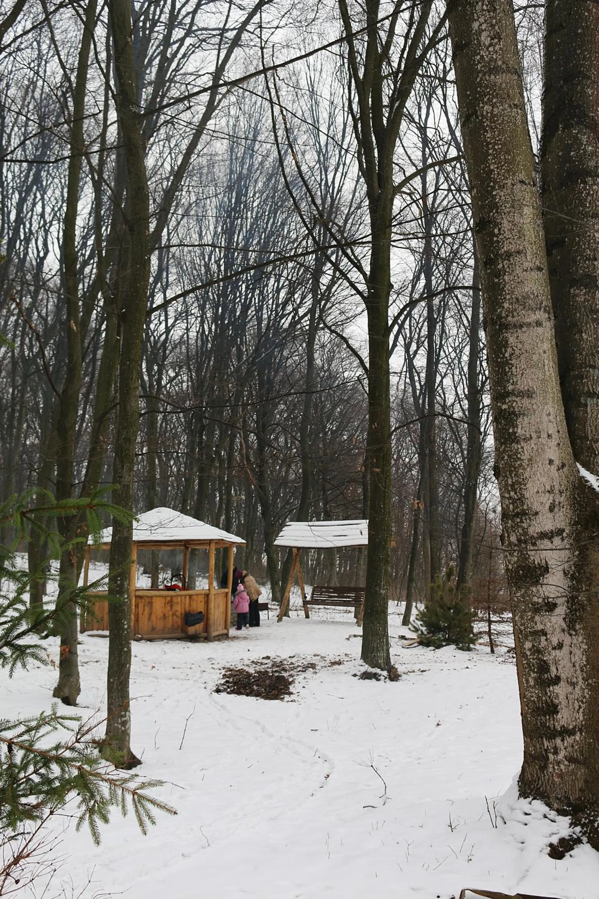 Area and facilities in VitaPark Sonyachnyy Provans
