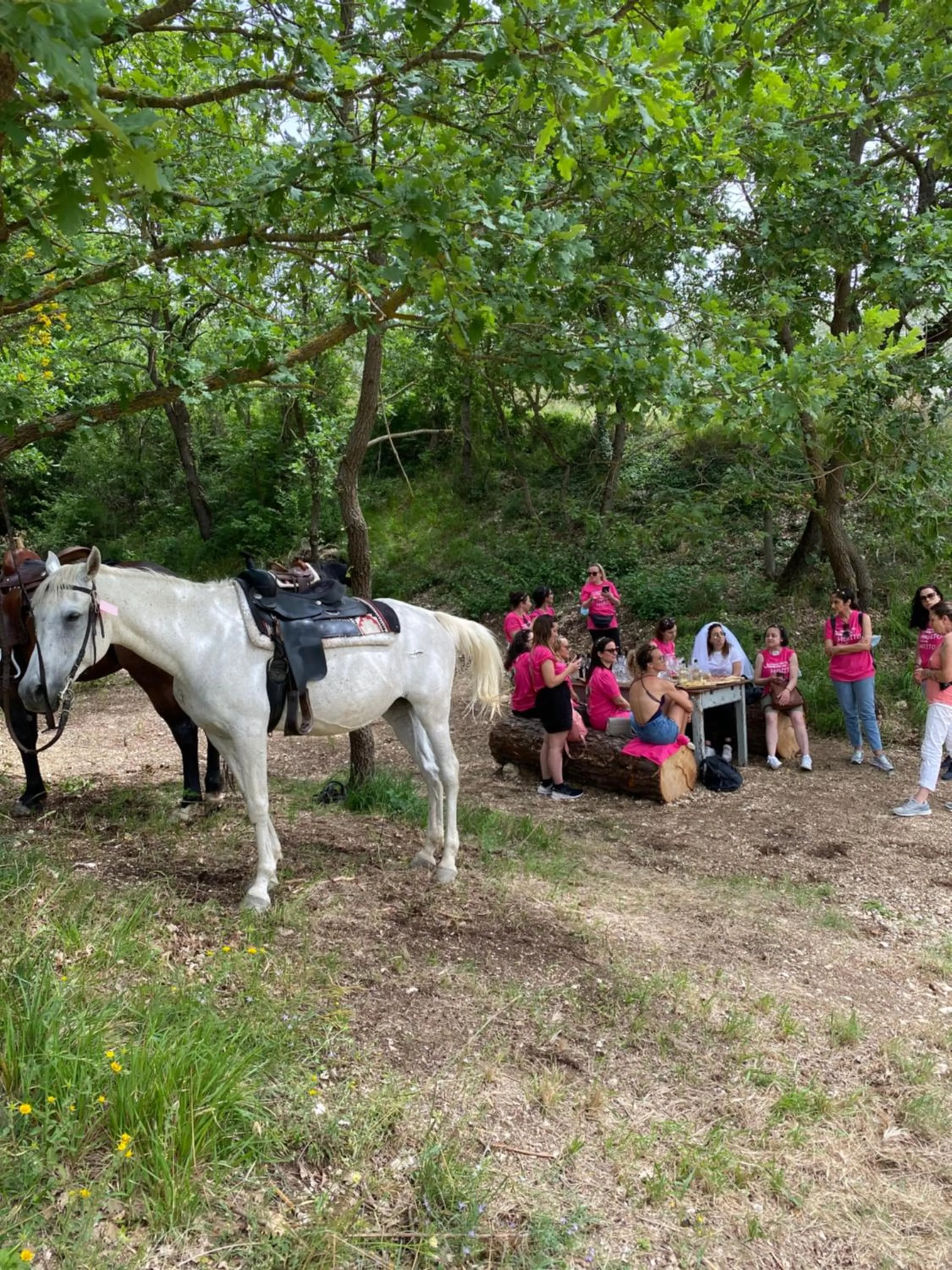 Horse-riding in Agriturismo AgrileisureTime