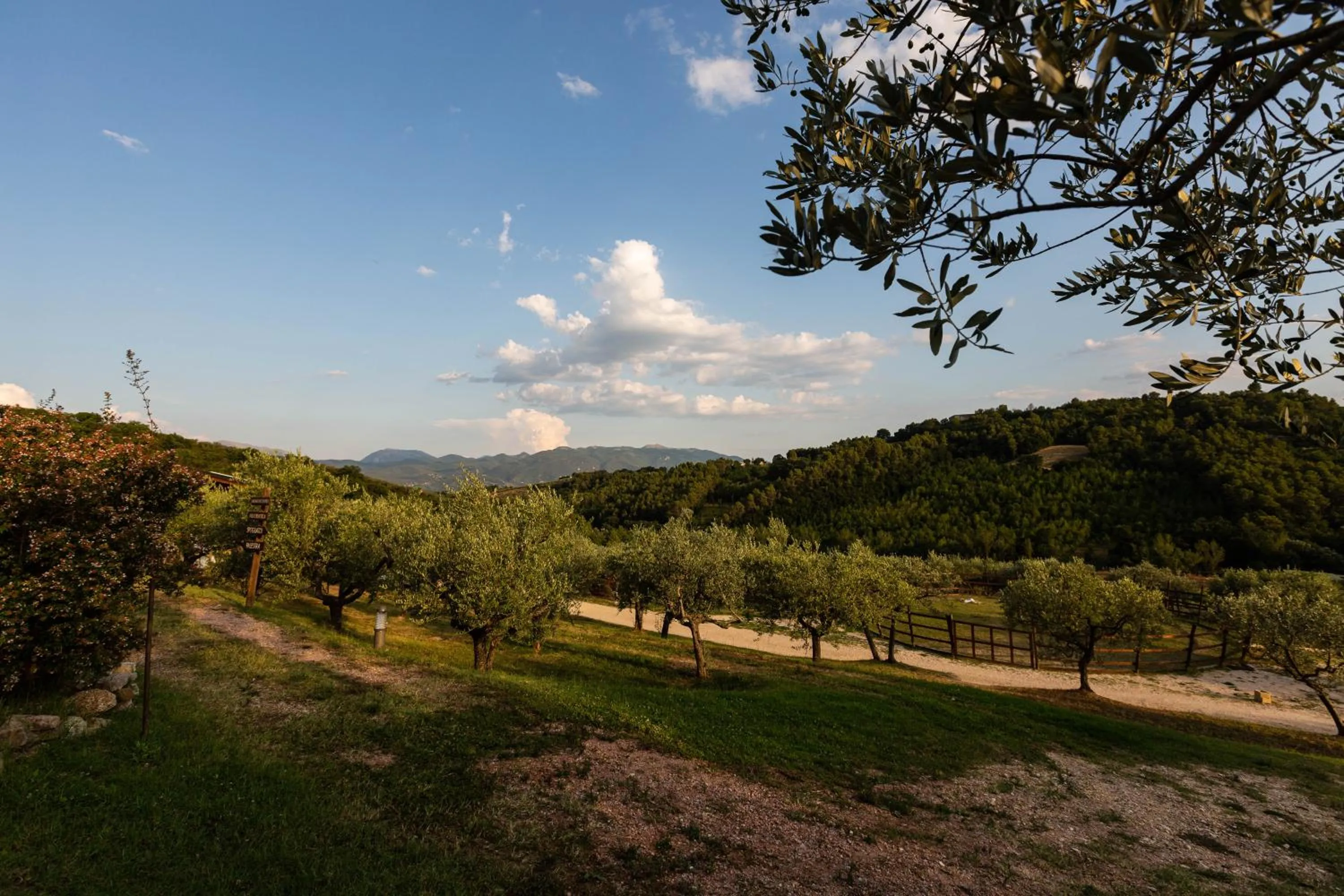 Natural landscape in Agriturismo AgrileisureTime
