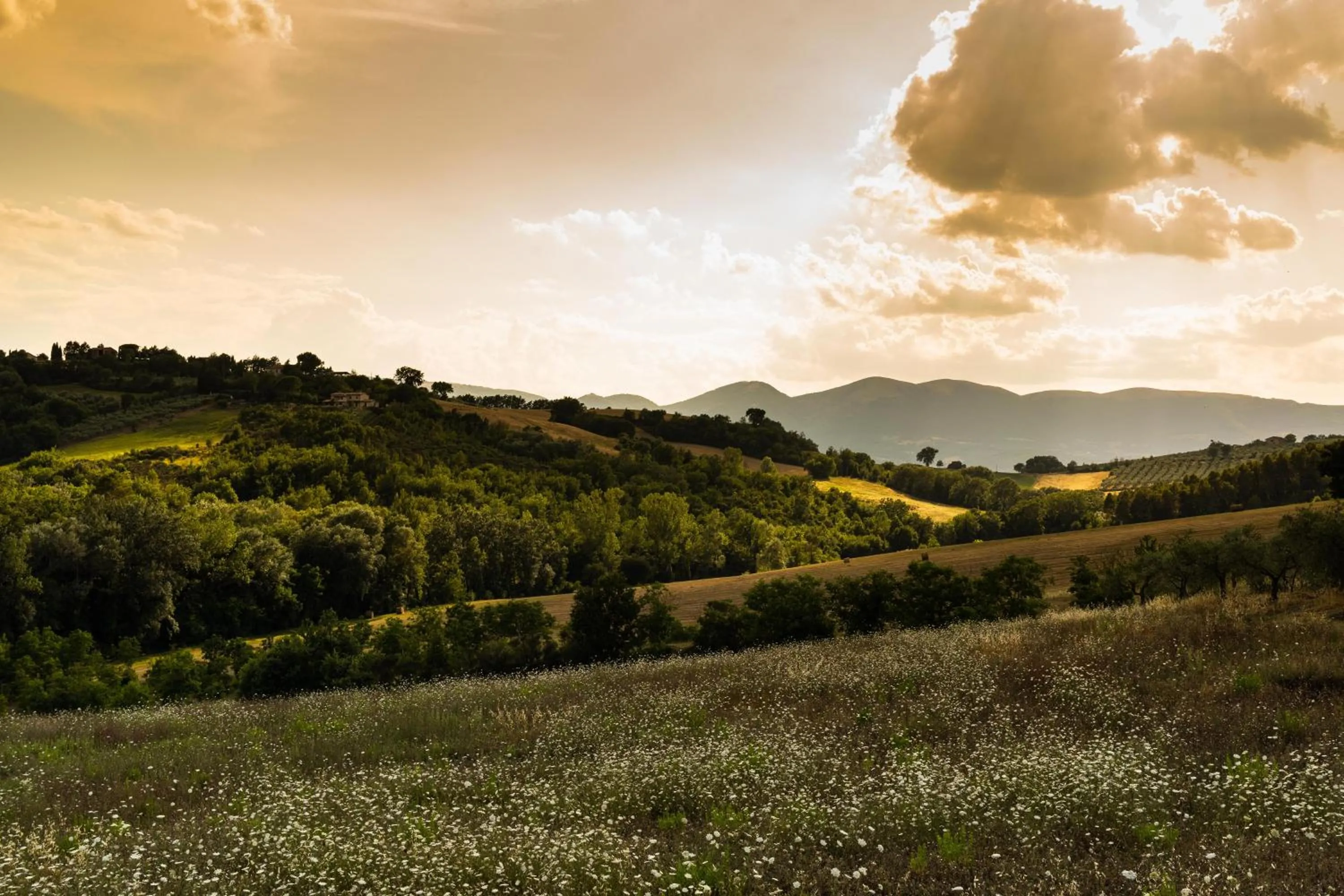 Natural landscape in Agriturismo AgrileisureTime