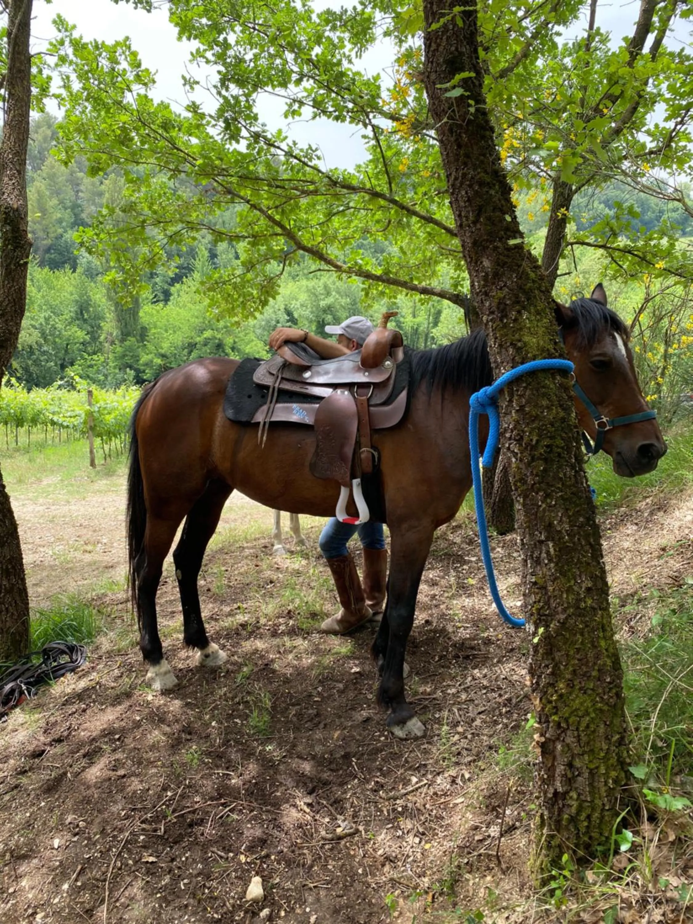 Natural landscape in Agriturismo AgrileisureTime
