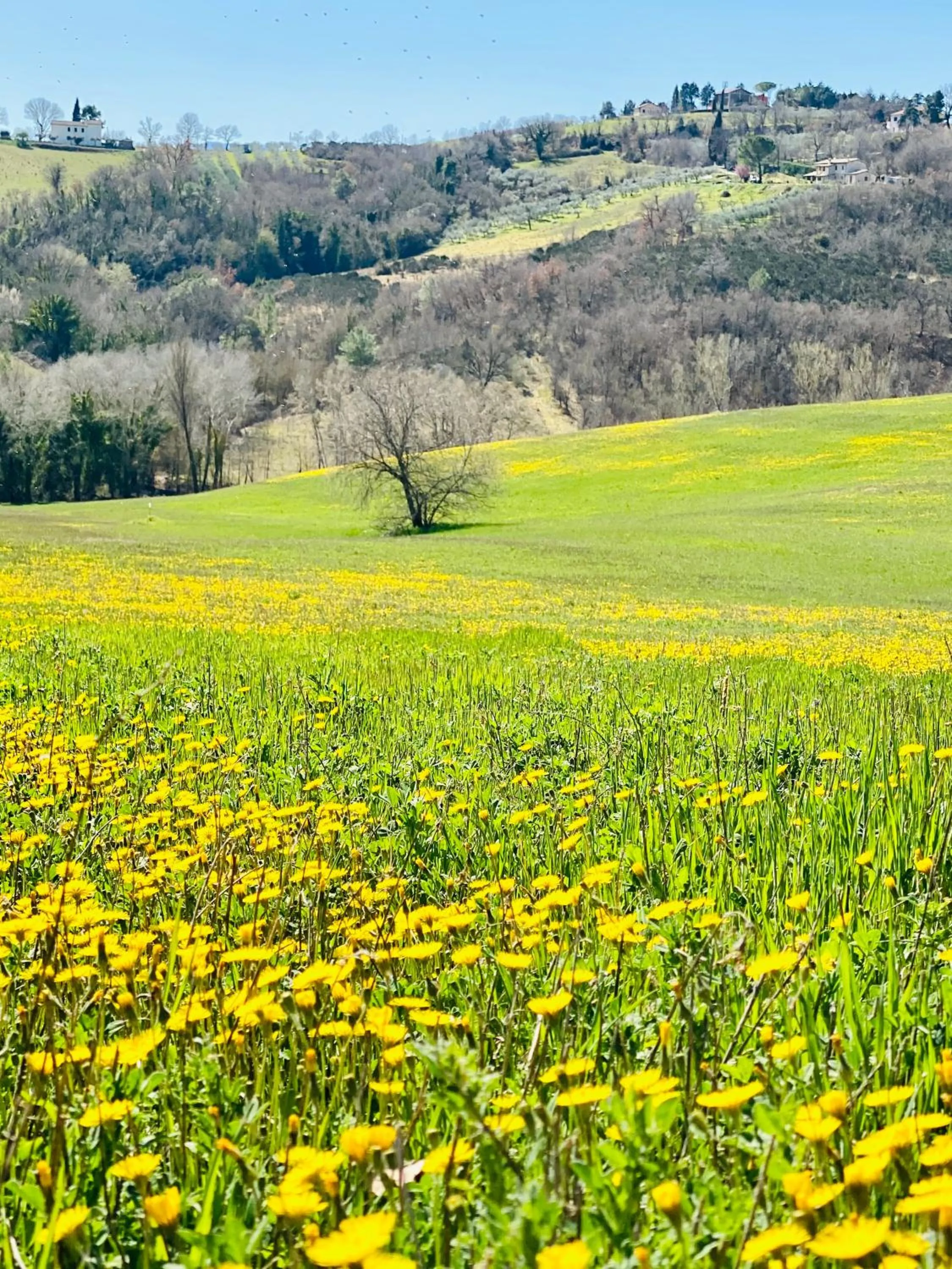 Natural landscape in Agriturismo AgrileisureTime