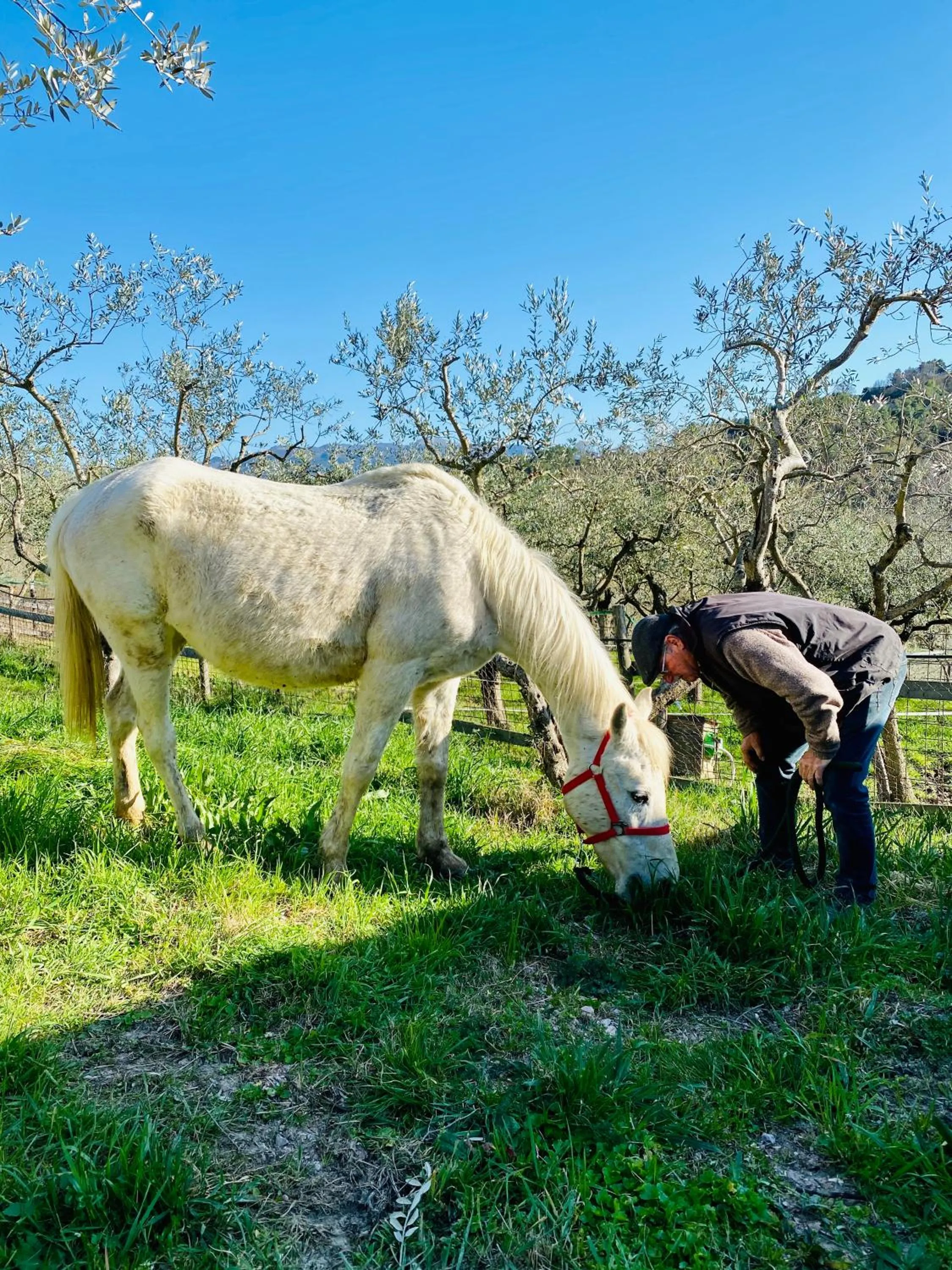 Horse-riding in Agriturismo AgrileisureTime