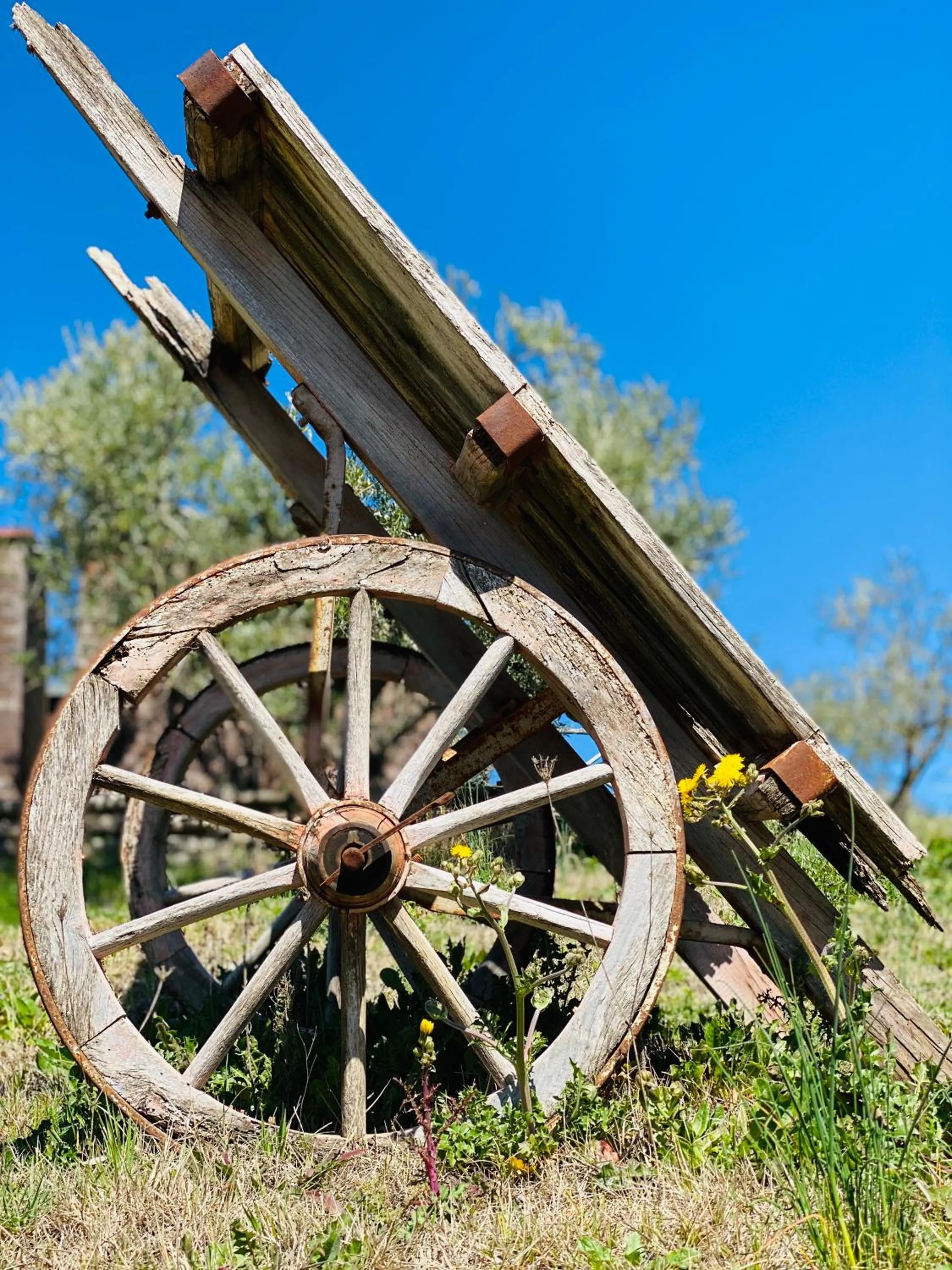 Natural landscape in Agriturismo AgrileisureTime