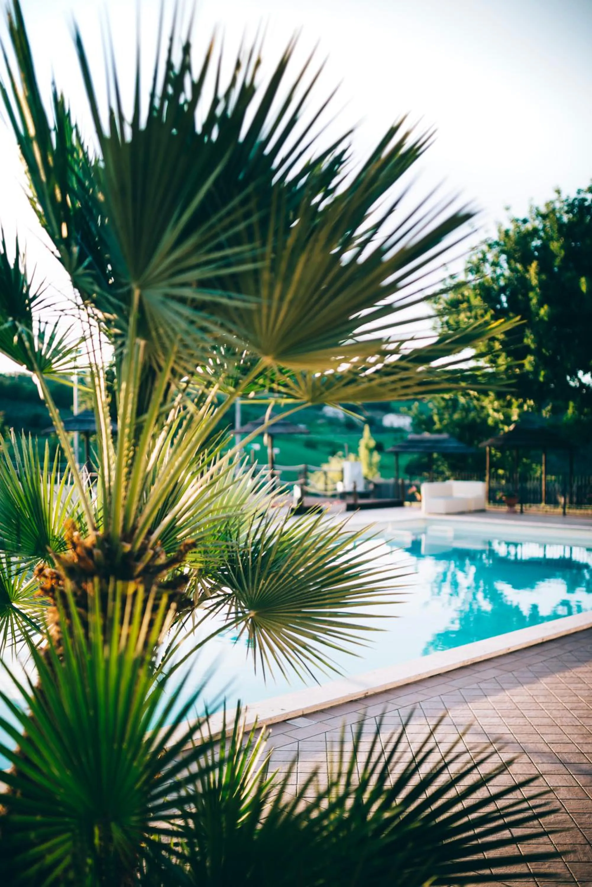 Swimming pool in Agriturismo AgrileisureTime