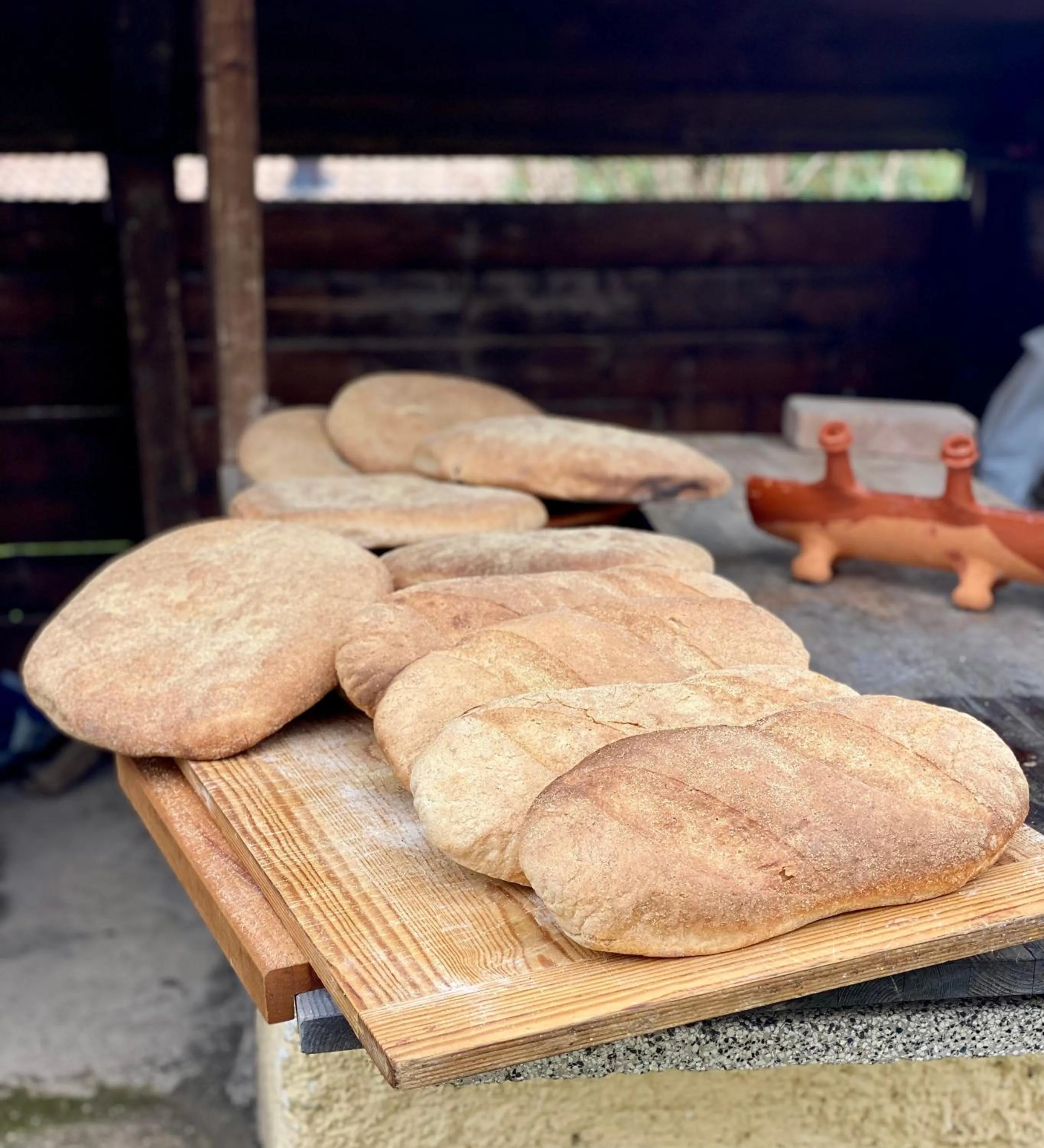 Food in Agriturismo AgrileisureTime