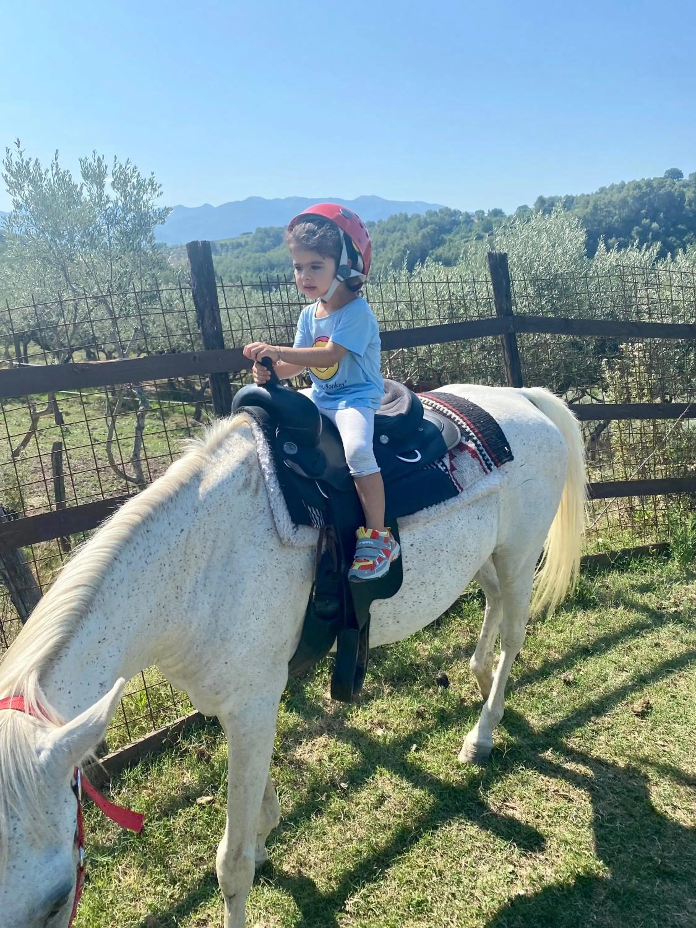 Horse-riding in Agriturismo AgrileisureTime