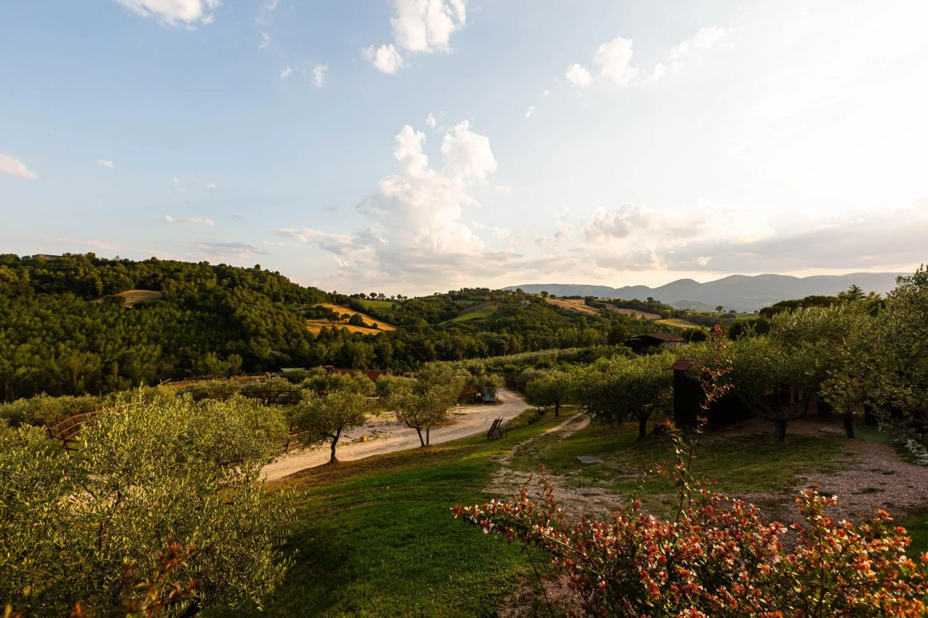 Natural landscape in Agriturismo AgrileisureTime
