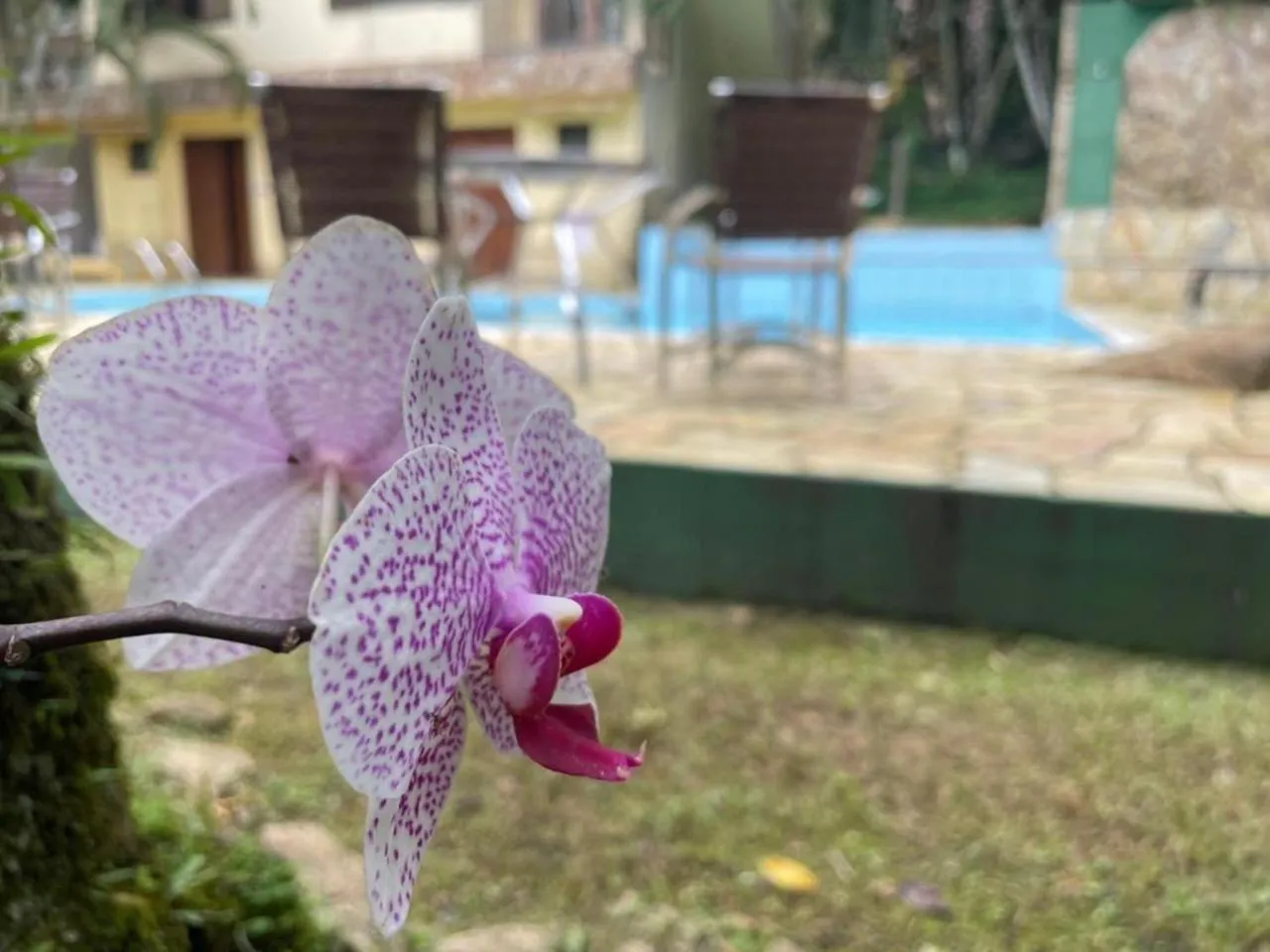 Swimming pool in Pousada Canto de Itamambuca