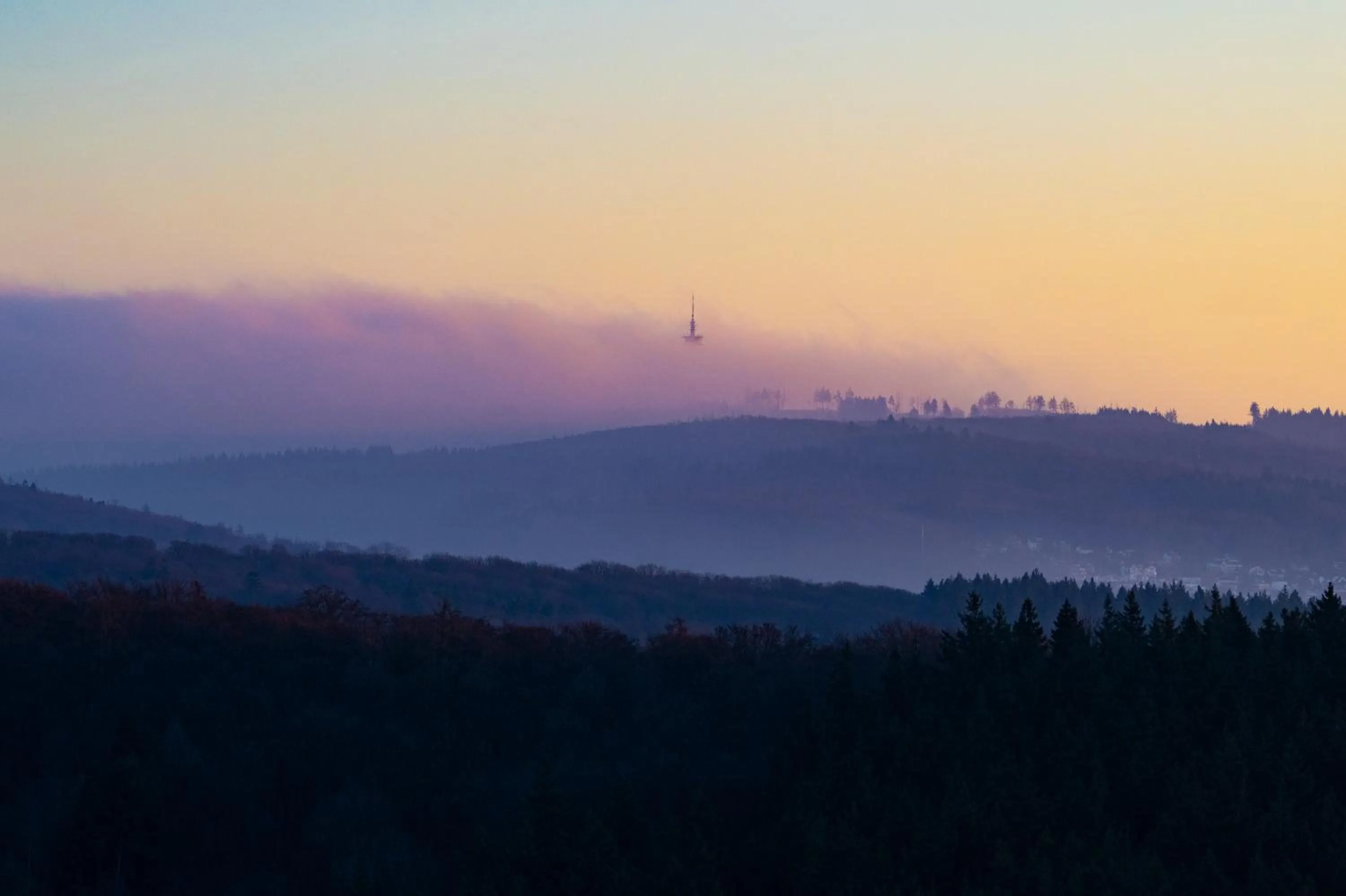 WALDWEIT Rheingau Hotel und Retreat