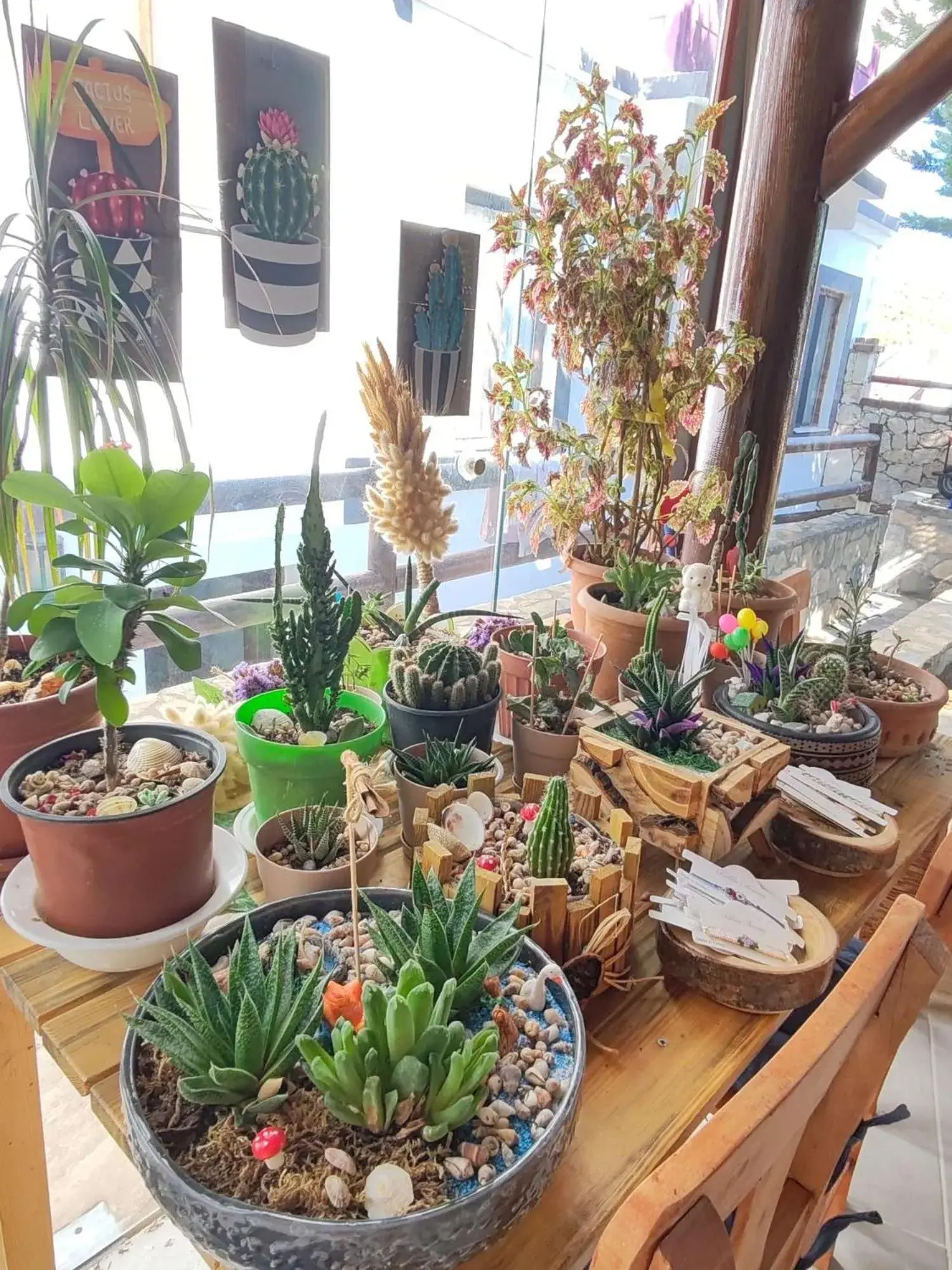 Restaurant/places to eat in Aim Bozcaada Restaurant/places to eat in Aim Bozcaada