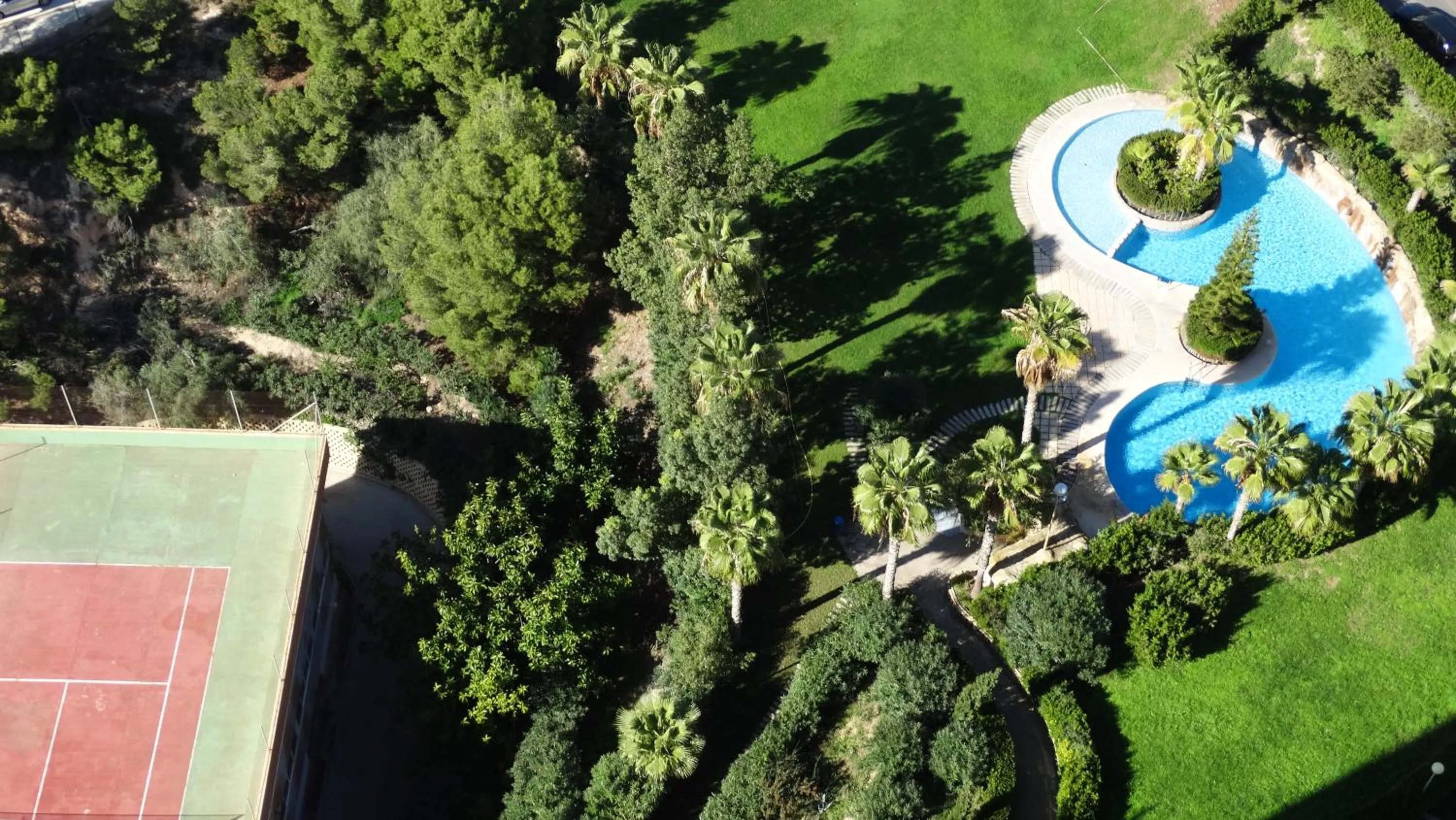 Garden in Apartamentos Beni-Beach