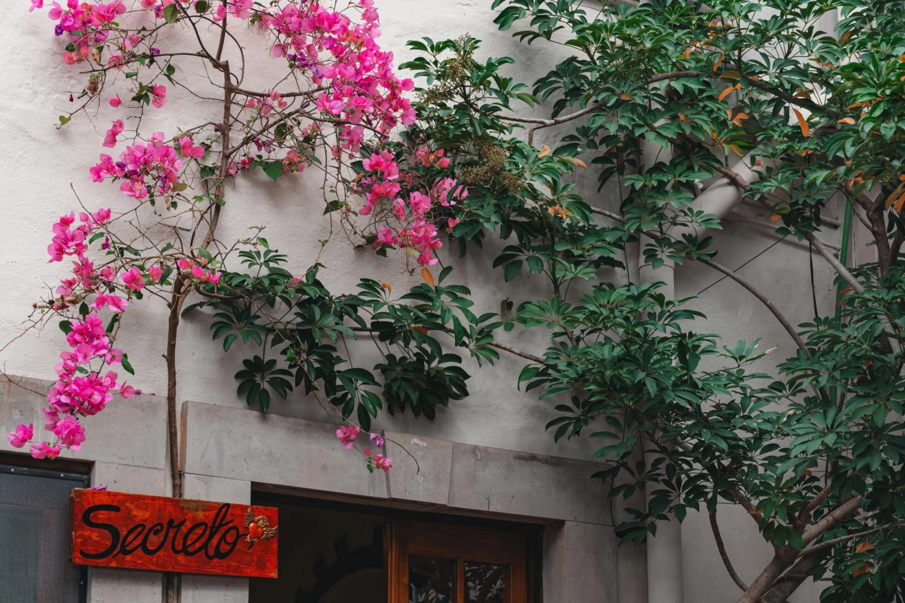Photo of the whole room in Te Amo Hotel Boutique