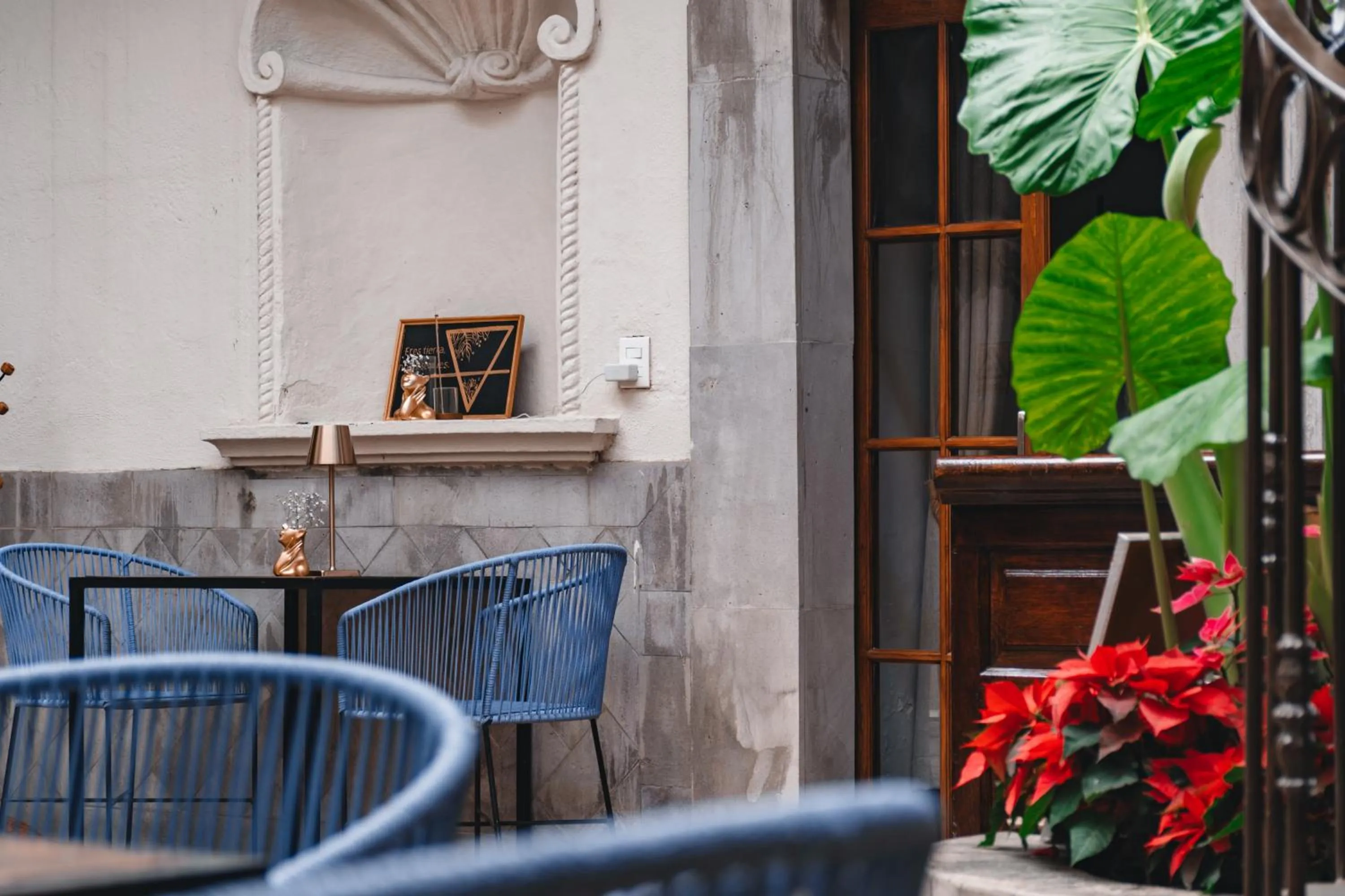 Restaurant/places to eat in Te Amo Hotel Boutique