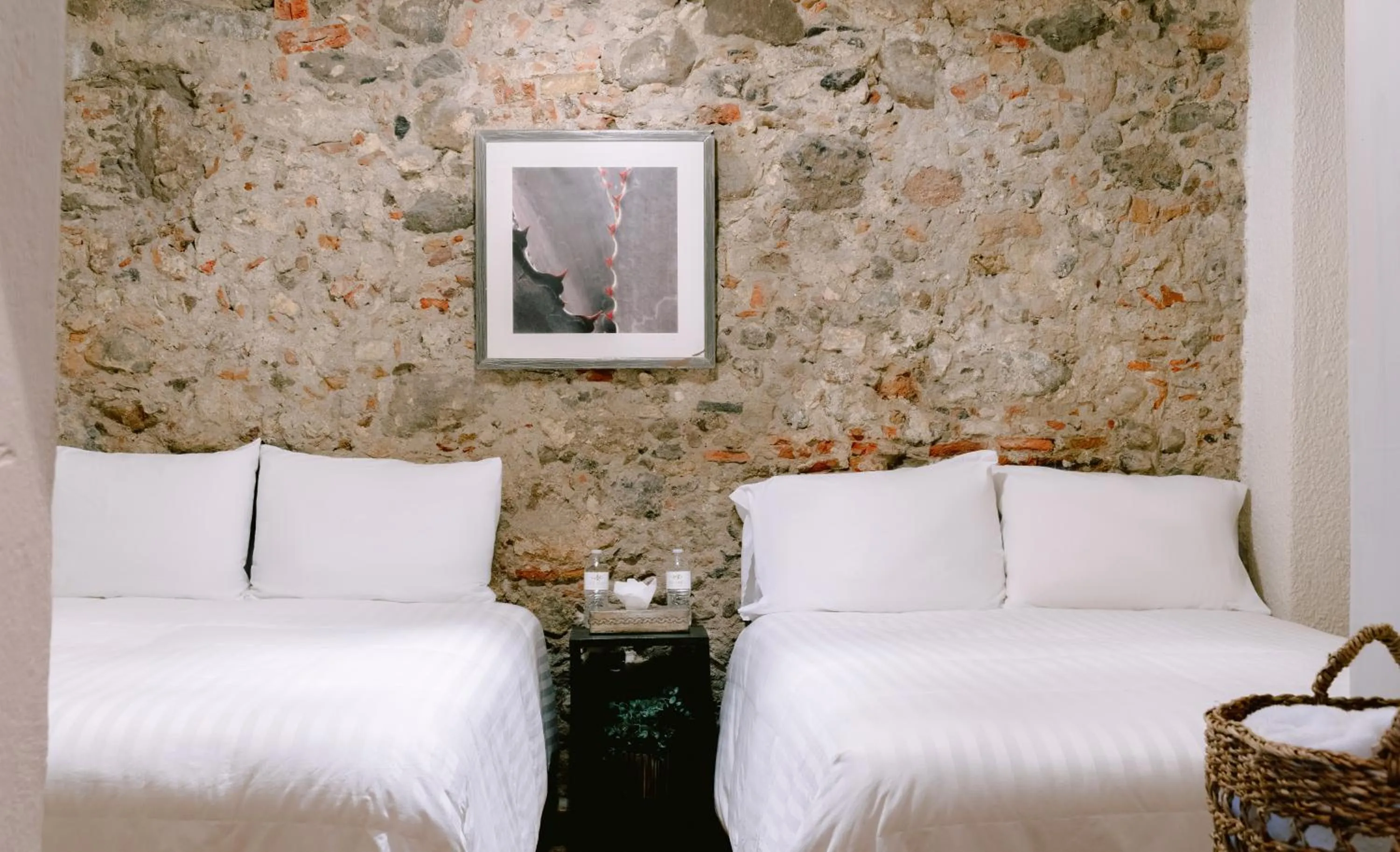 Photo of the whole room, Bed in Te Amo Hotel Boutique