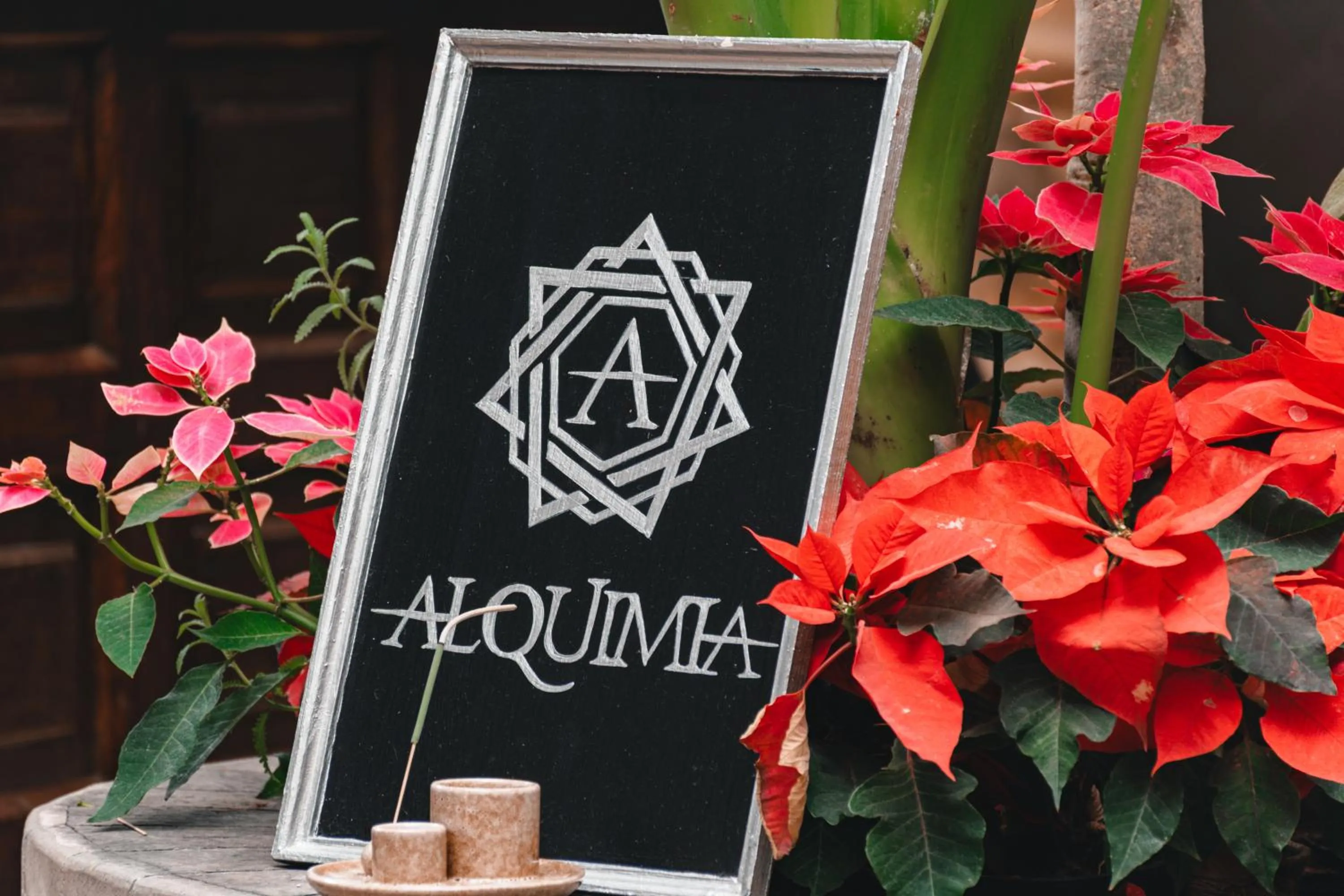 Restaurant/places to eat in Te Amo Hotel Boutique