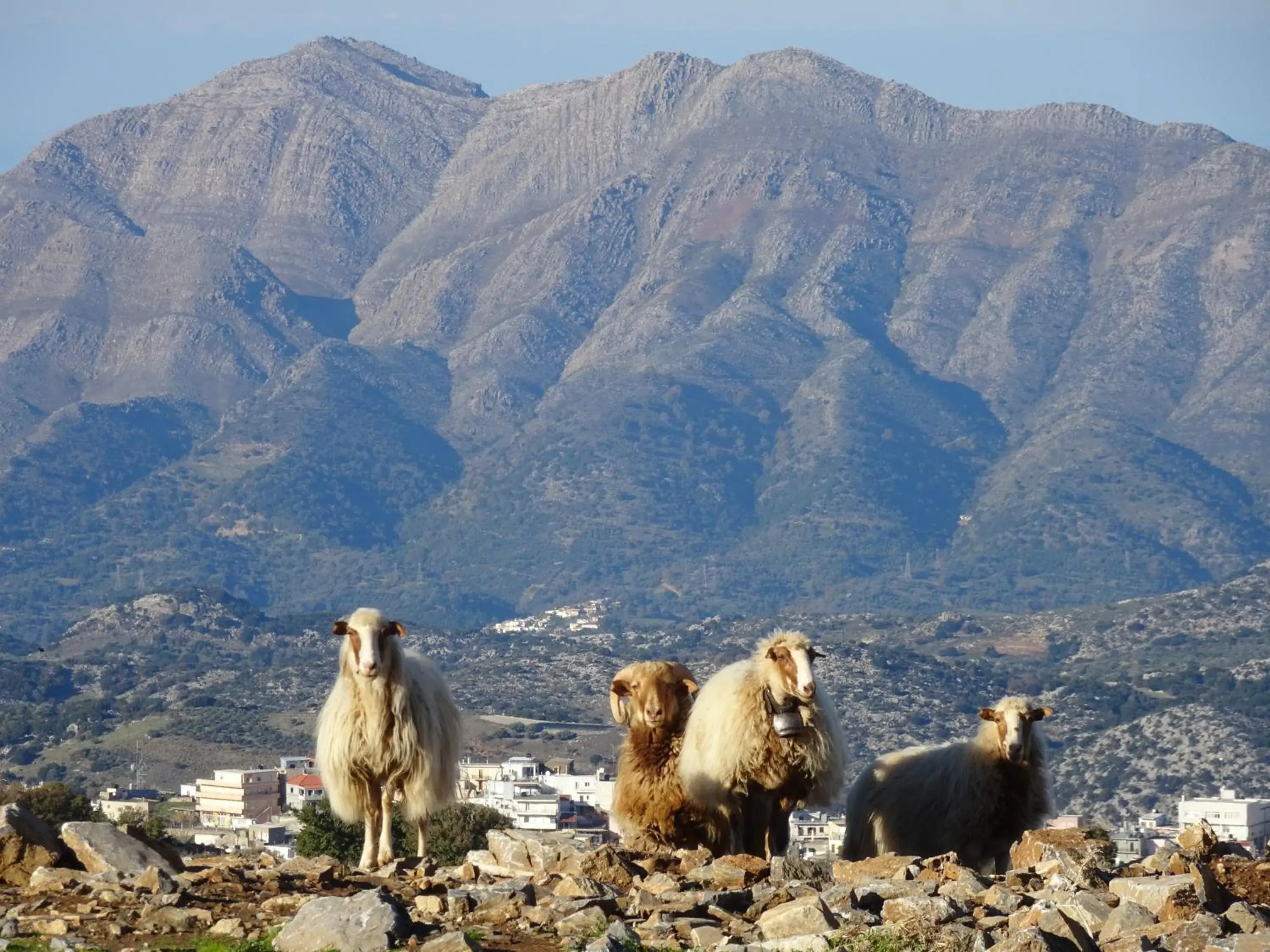 Mountain view in Delina Mountain Resort Mountain view in Delina Mountain Resort