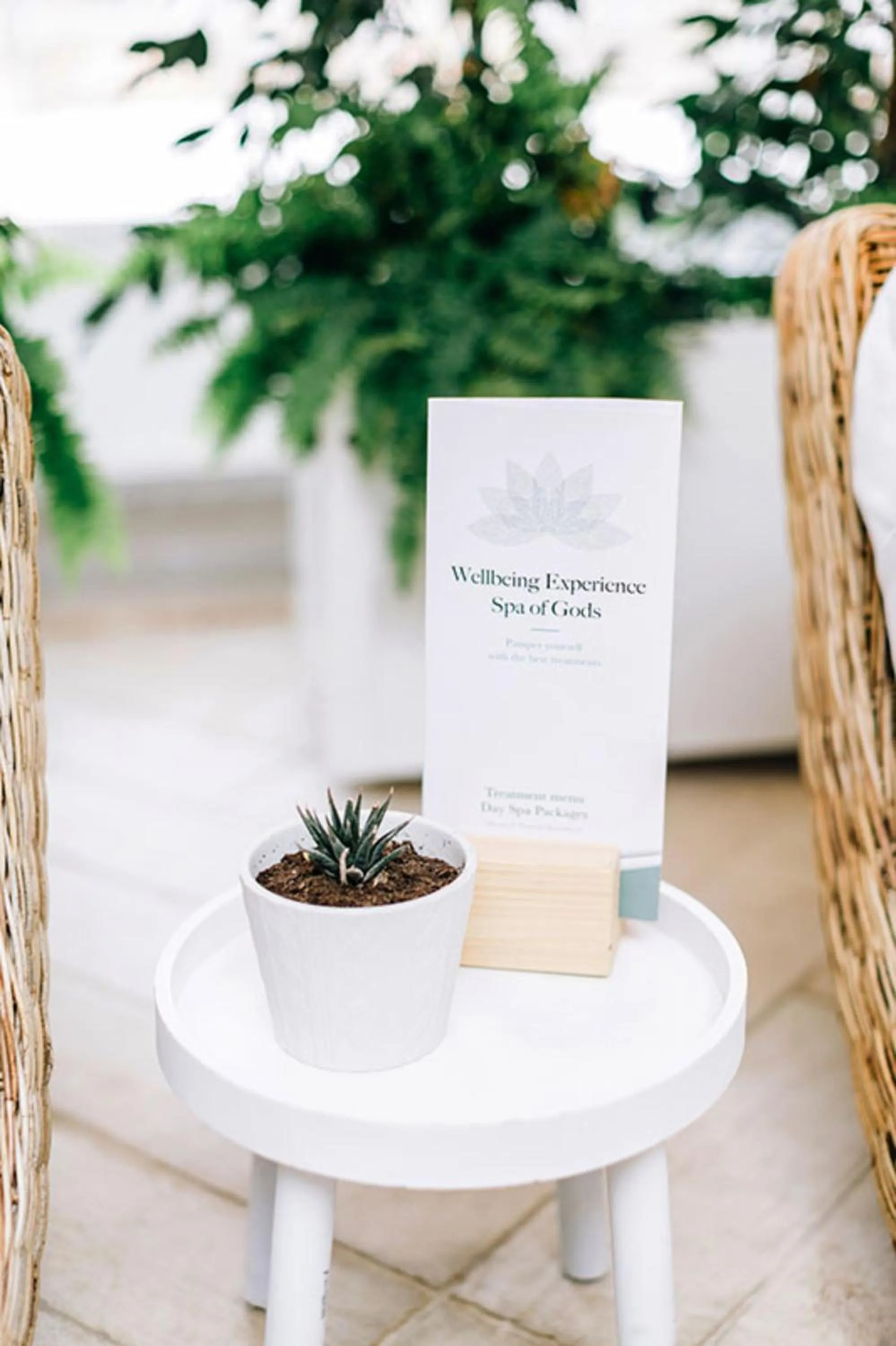 Spa and wellness centre/facilities in Delina Mountain Resort