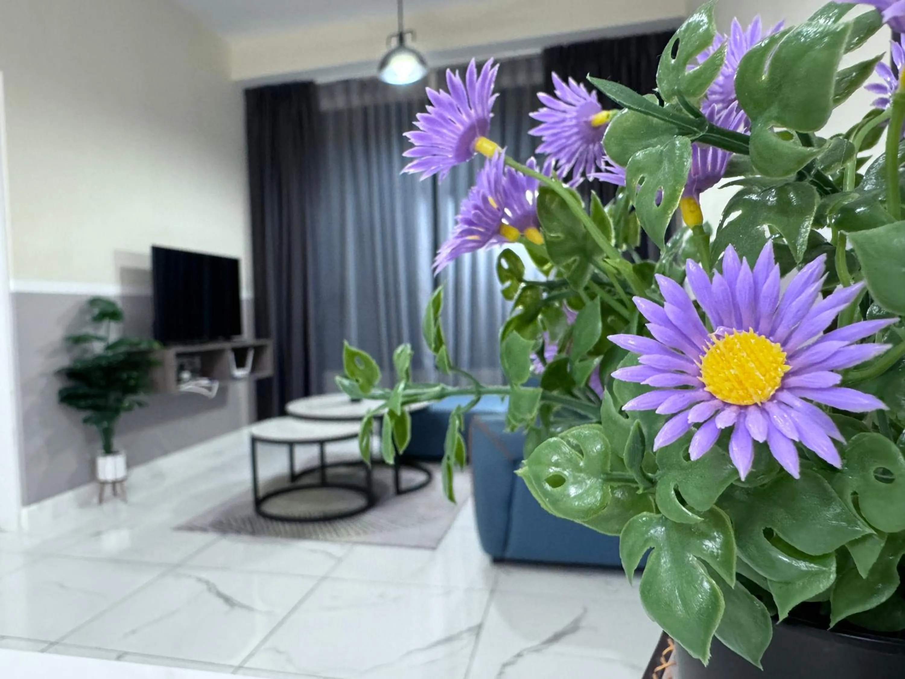 Cubic Botanical by ANCUBIC, Bangsar South, KL by HomeTaric