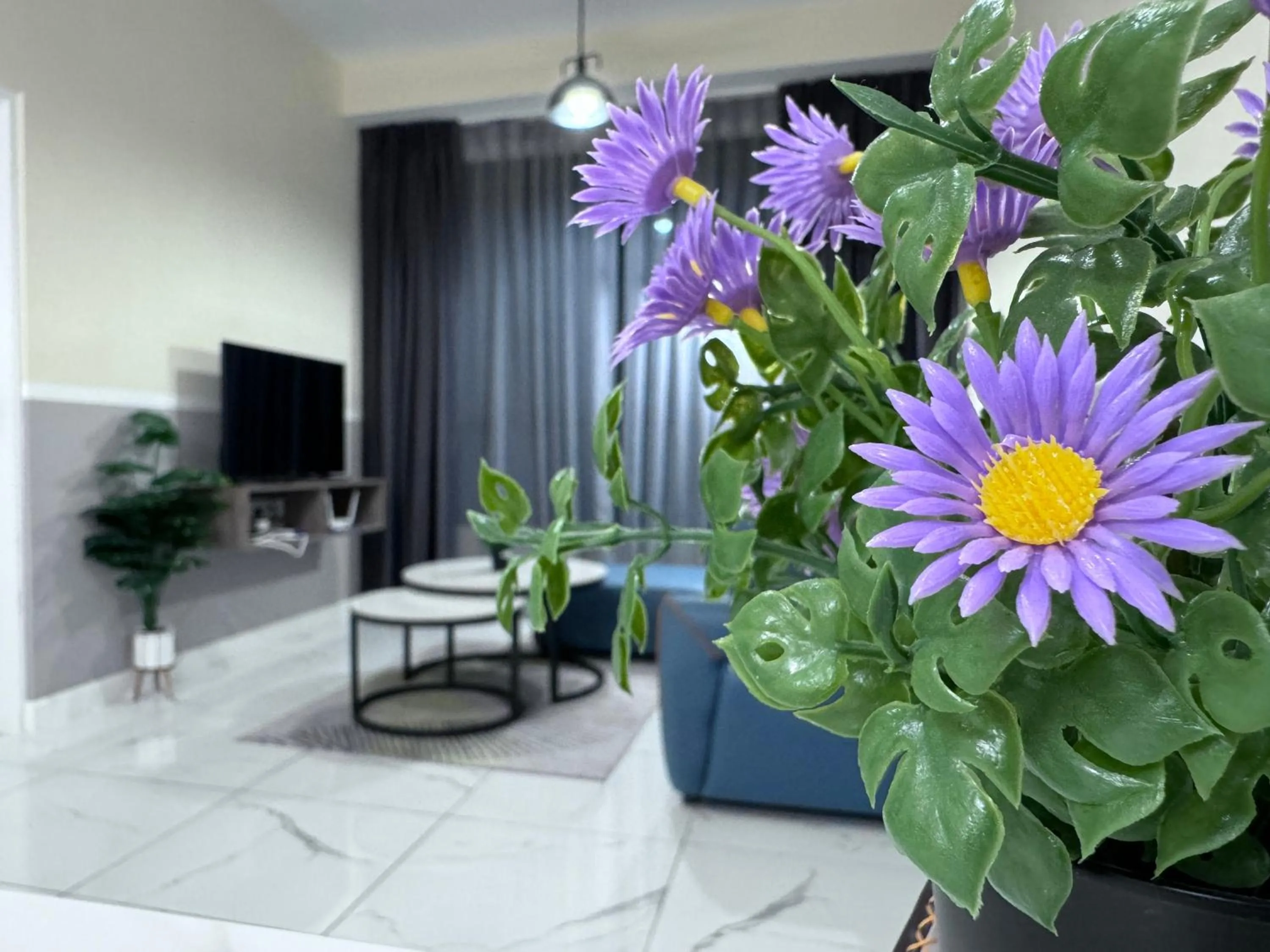 Cubic Botanical by ANCUBIC, Bangsar South, KL by HomeTaric