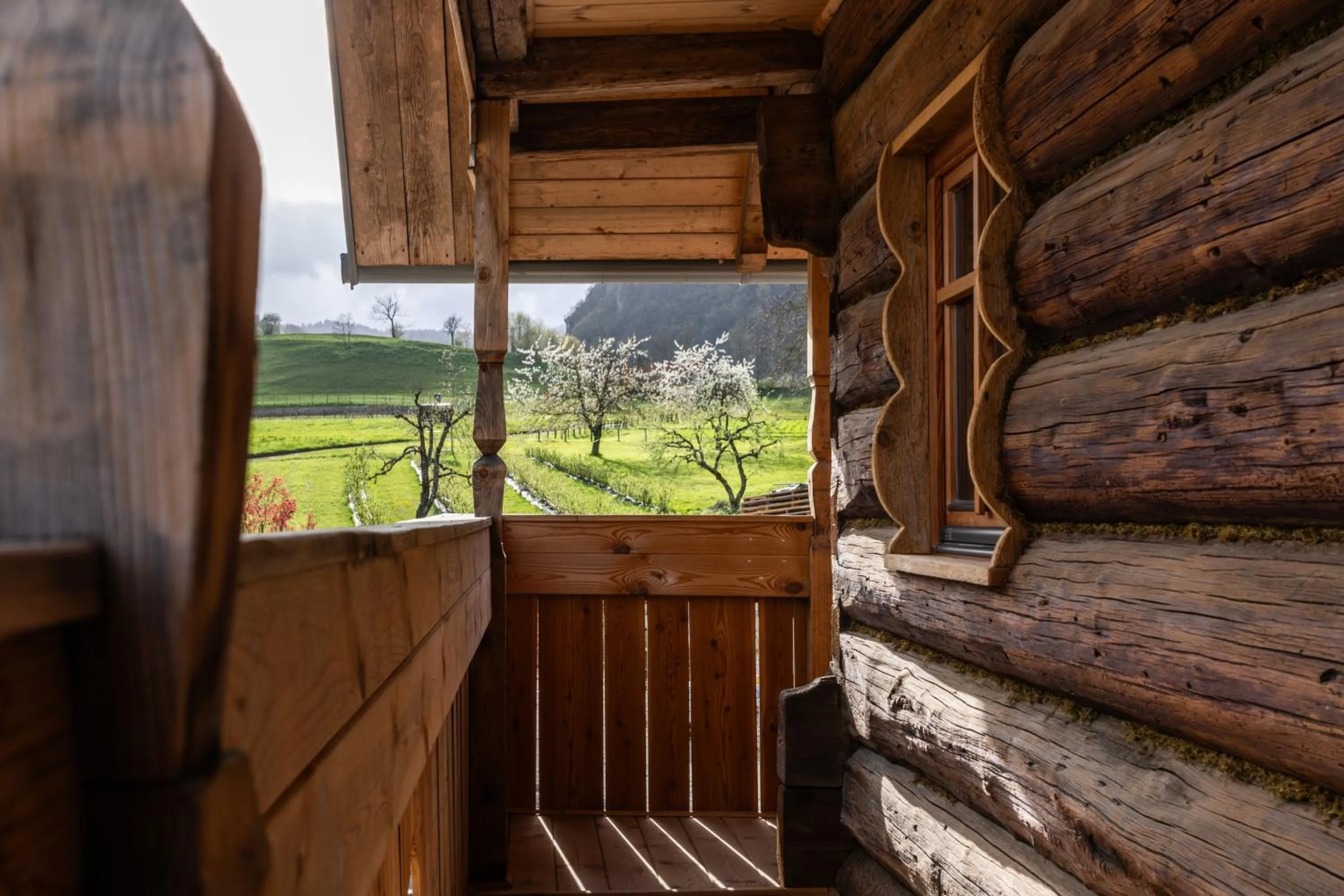 Day in Hotel Julian Alps