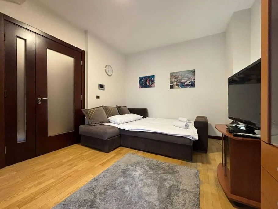 One-Bedroom Apartment in Belgrade Center Apartment Studio
