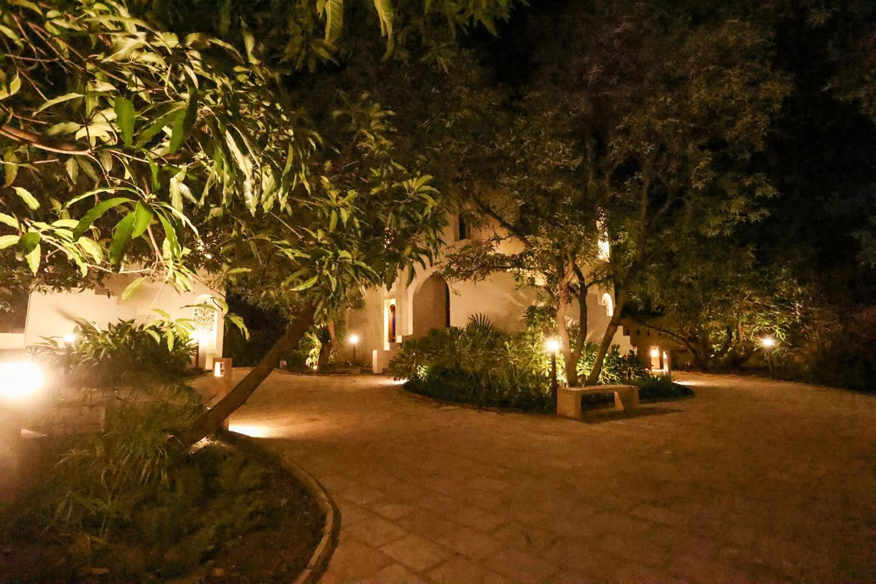 Night in Le Casa Lion Resort A Premium Resort In Sasan Gir