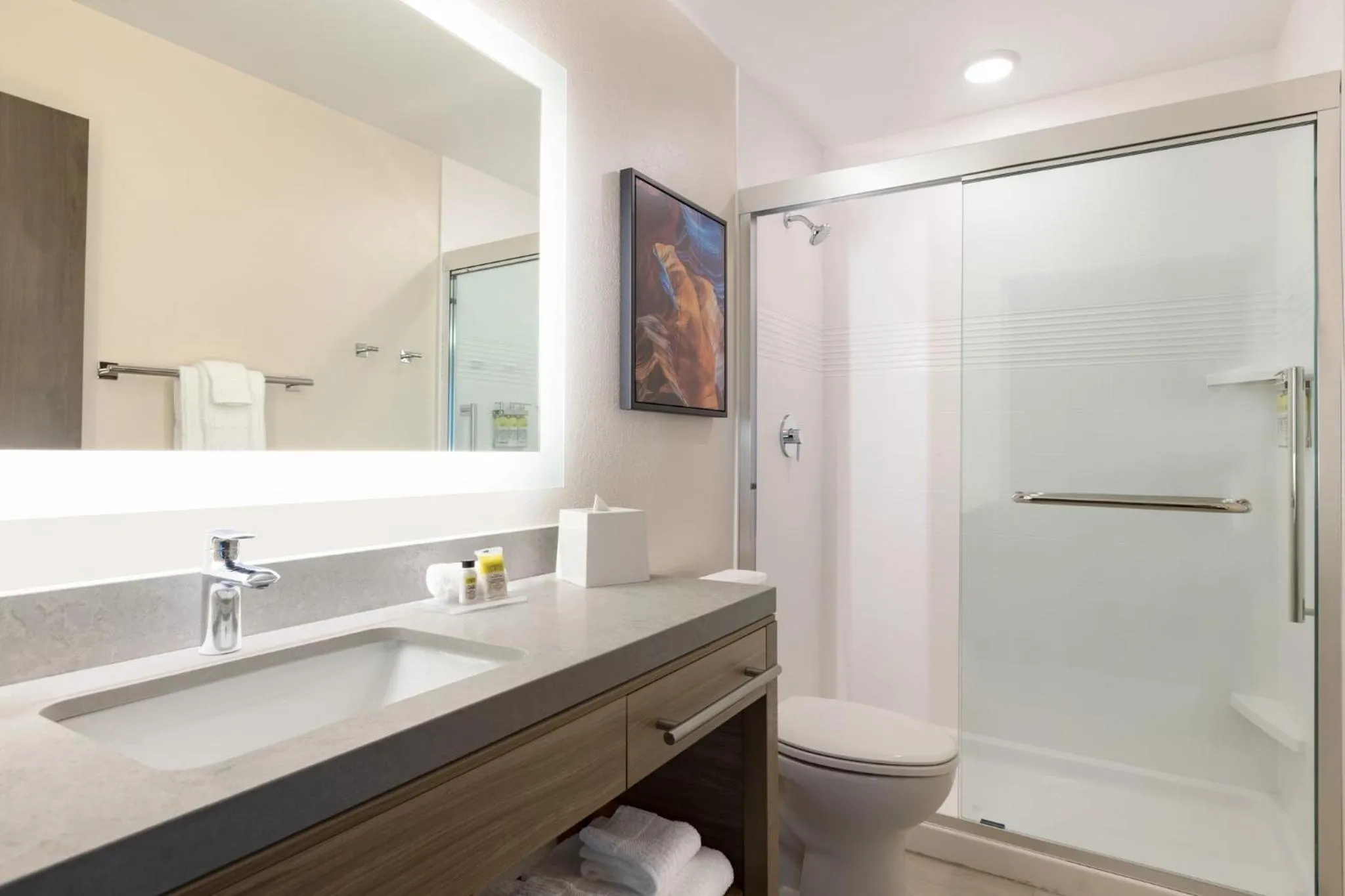 Bathroom in Candlewood Suites Lawrenceville - Princeton by IHG