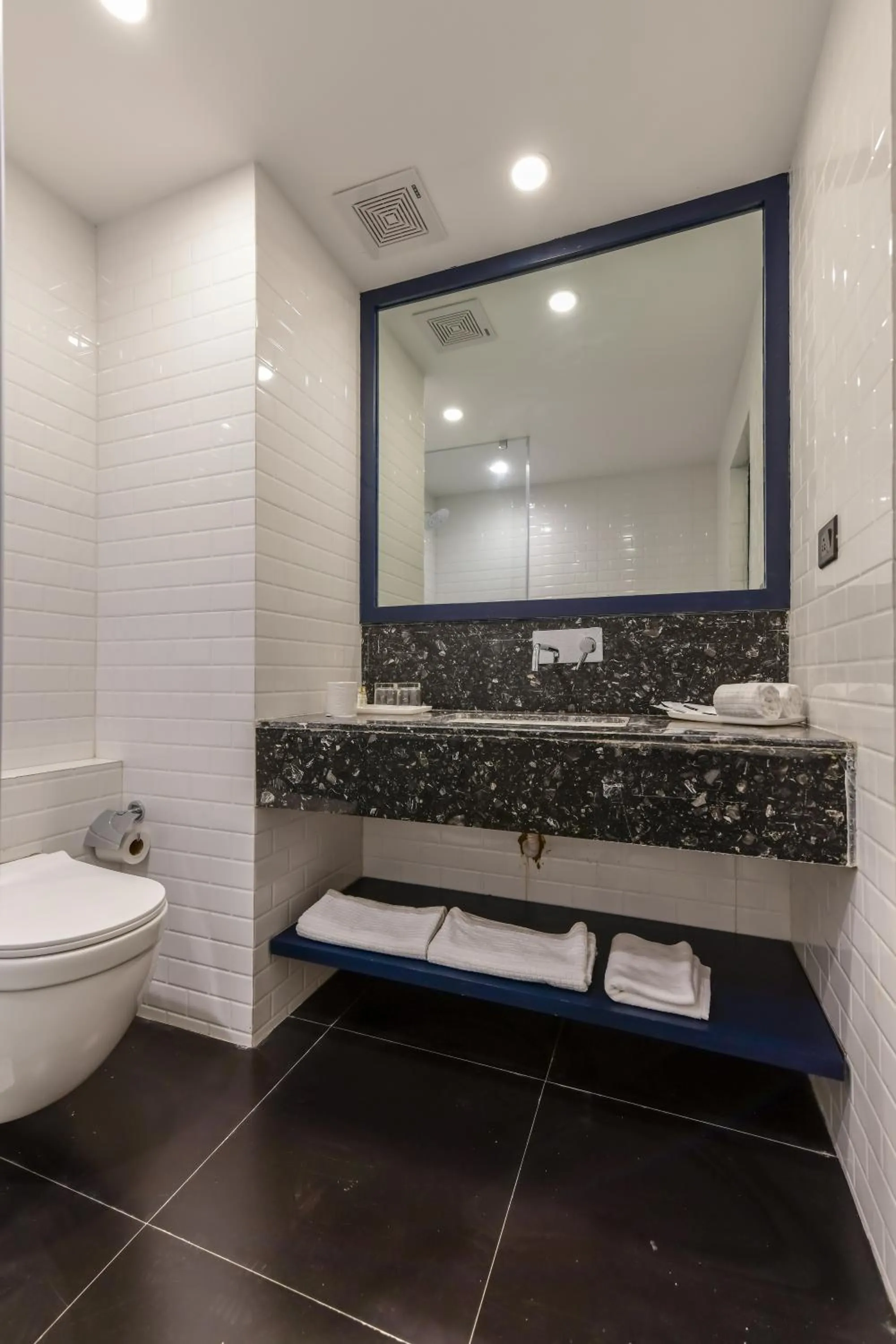 Toilet in Regenta Inn Downton Raipur